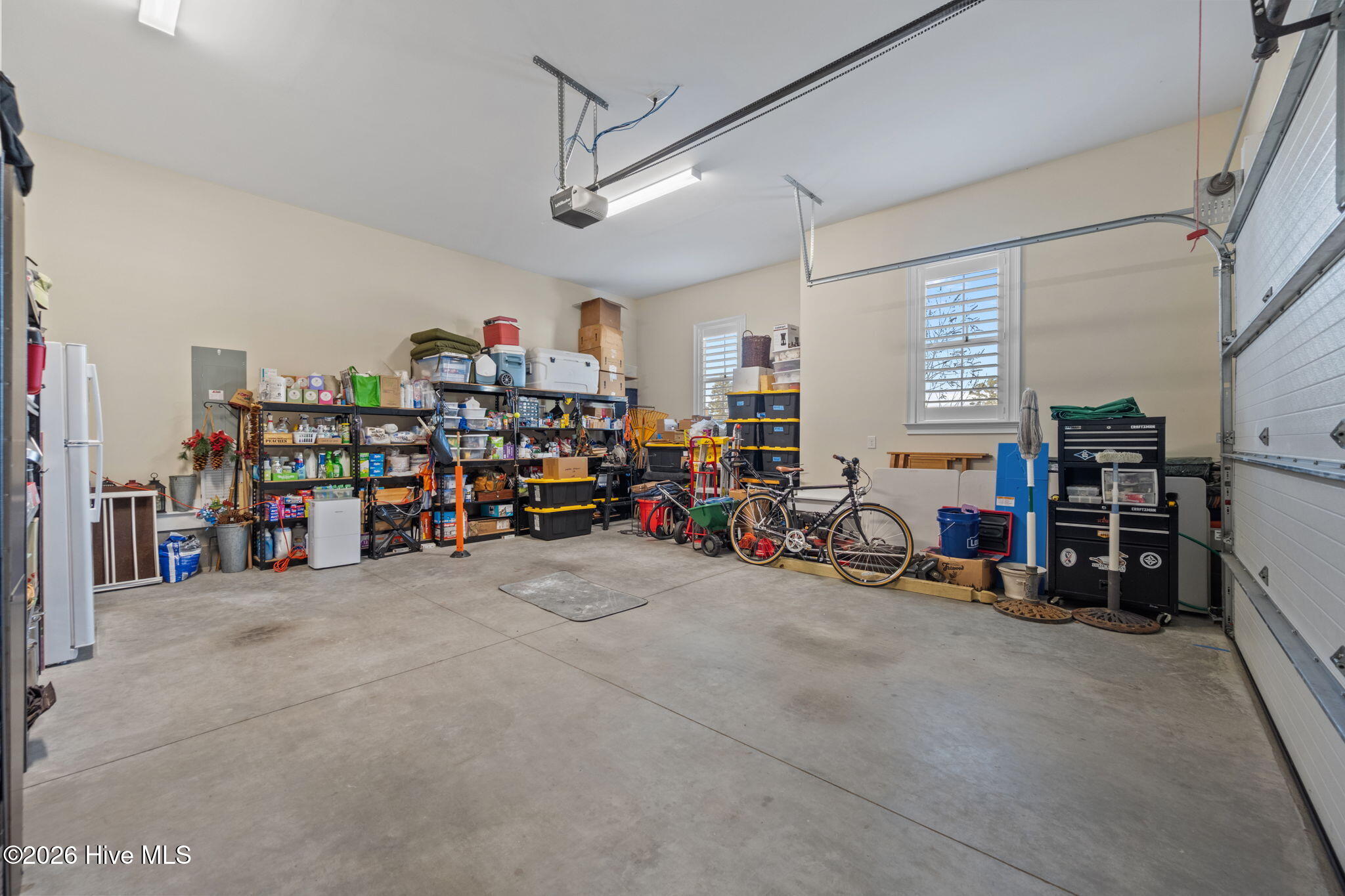 100546497 | Photo 36