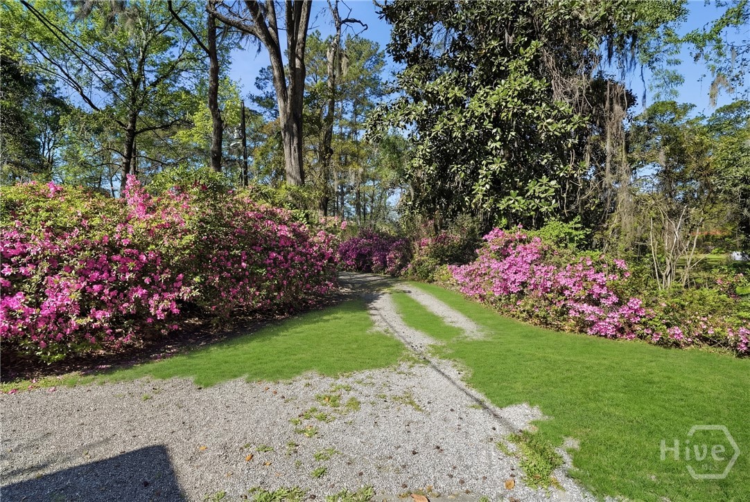 *Grass has been digitally enhanced*