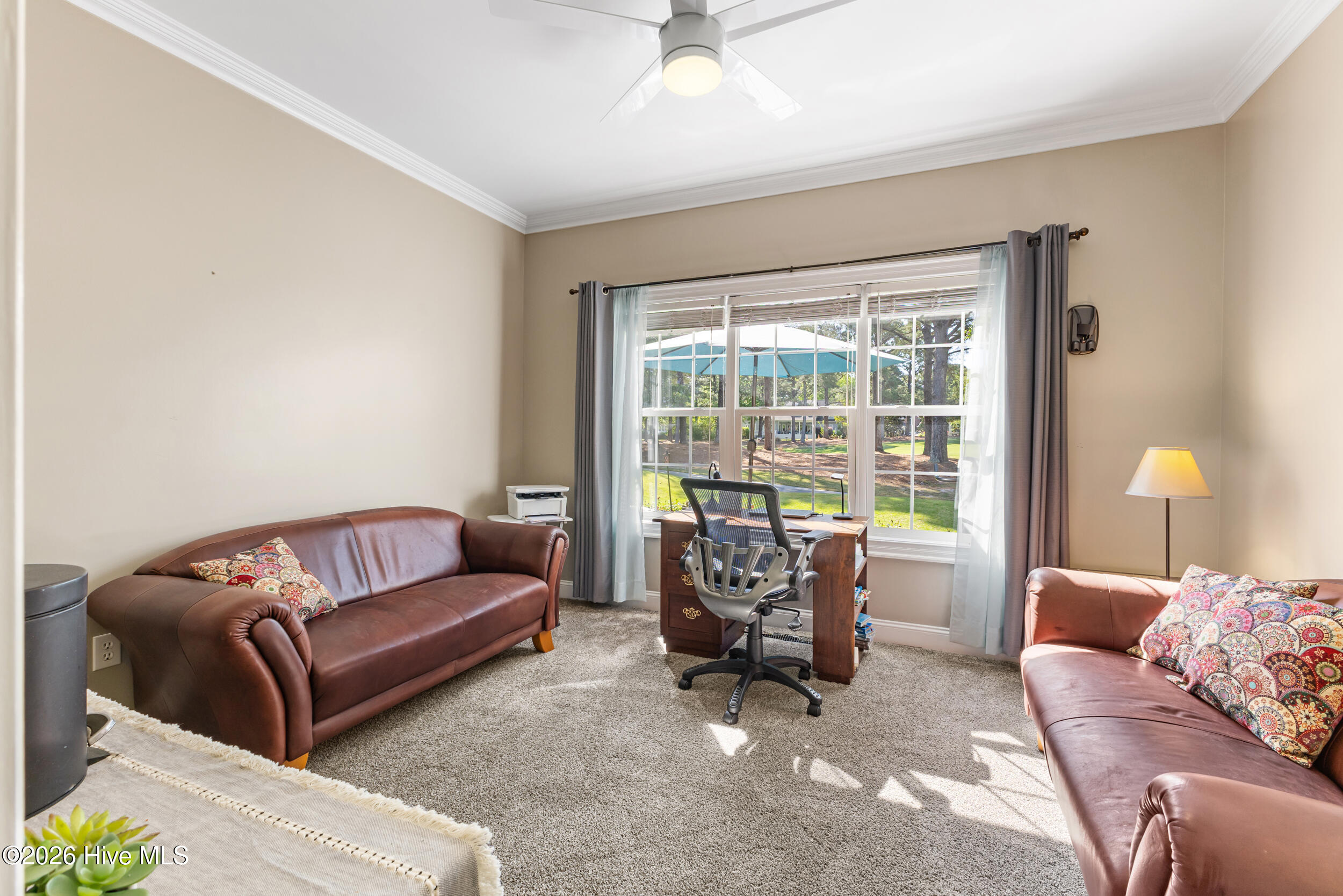 100569489 | Photo 32