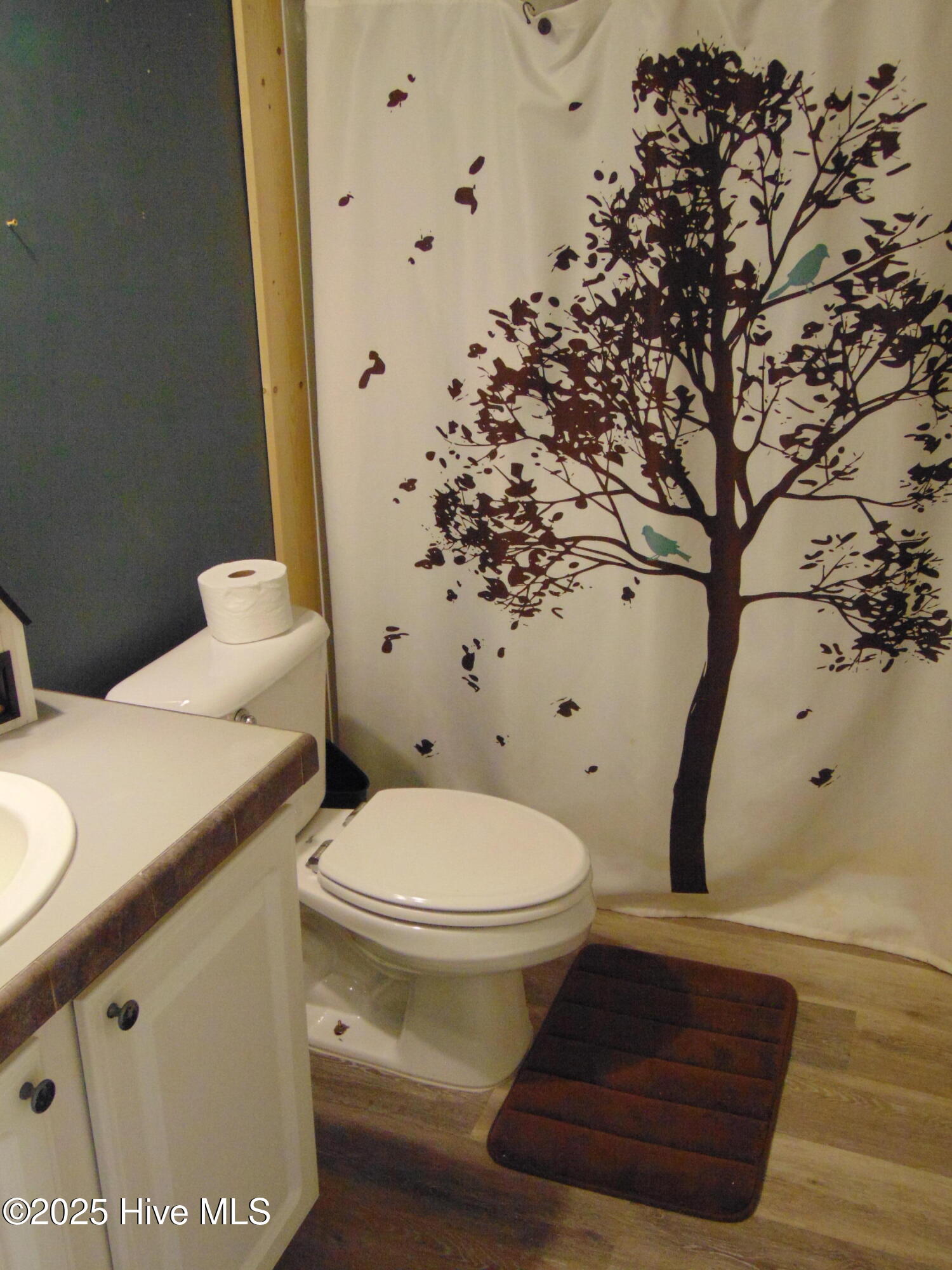 13619 Us Highway 258, Scotland Neck, NC, 27874