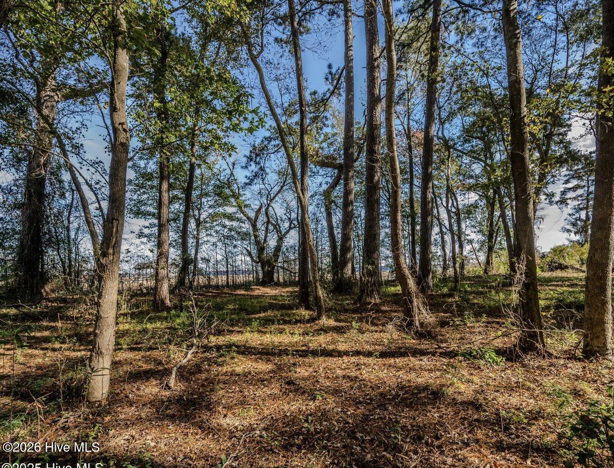 100560366 | Photo 14