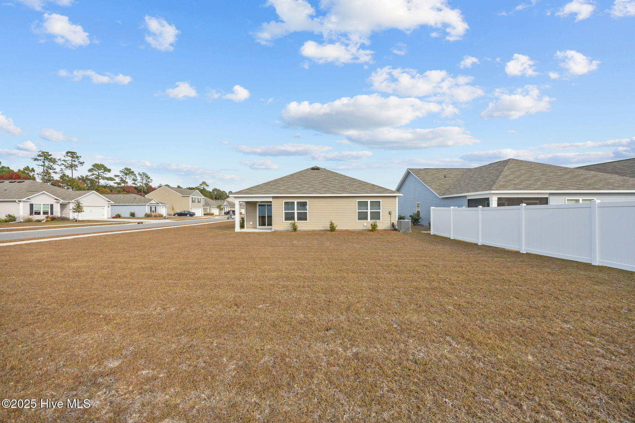 100542693 | Photo 15