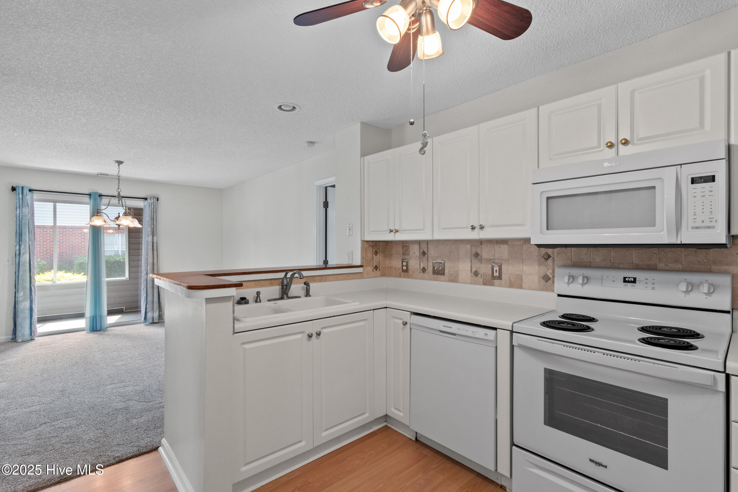 100528795 | Photo 10