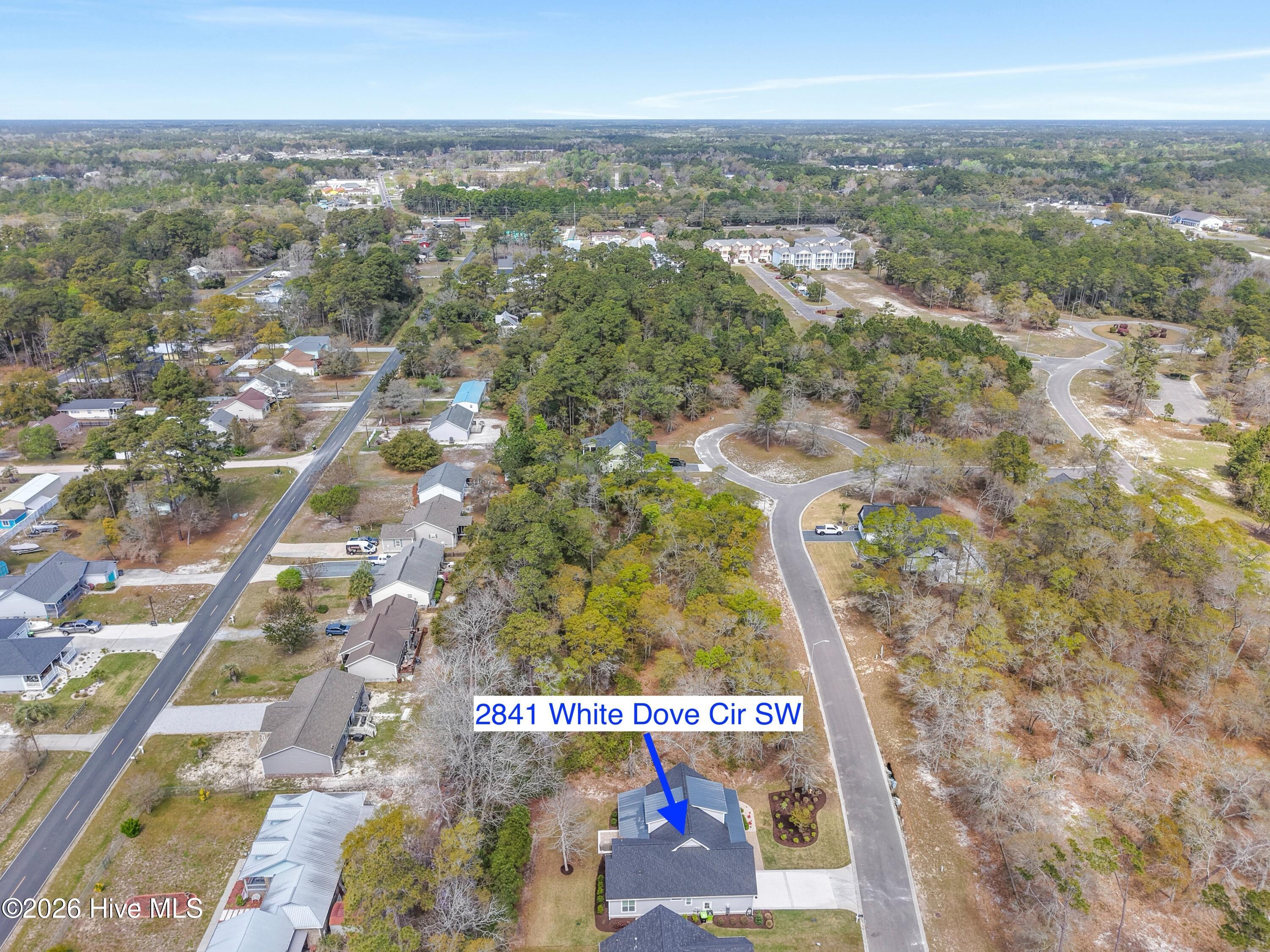 100565017 | Photo 71