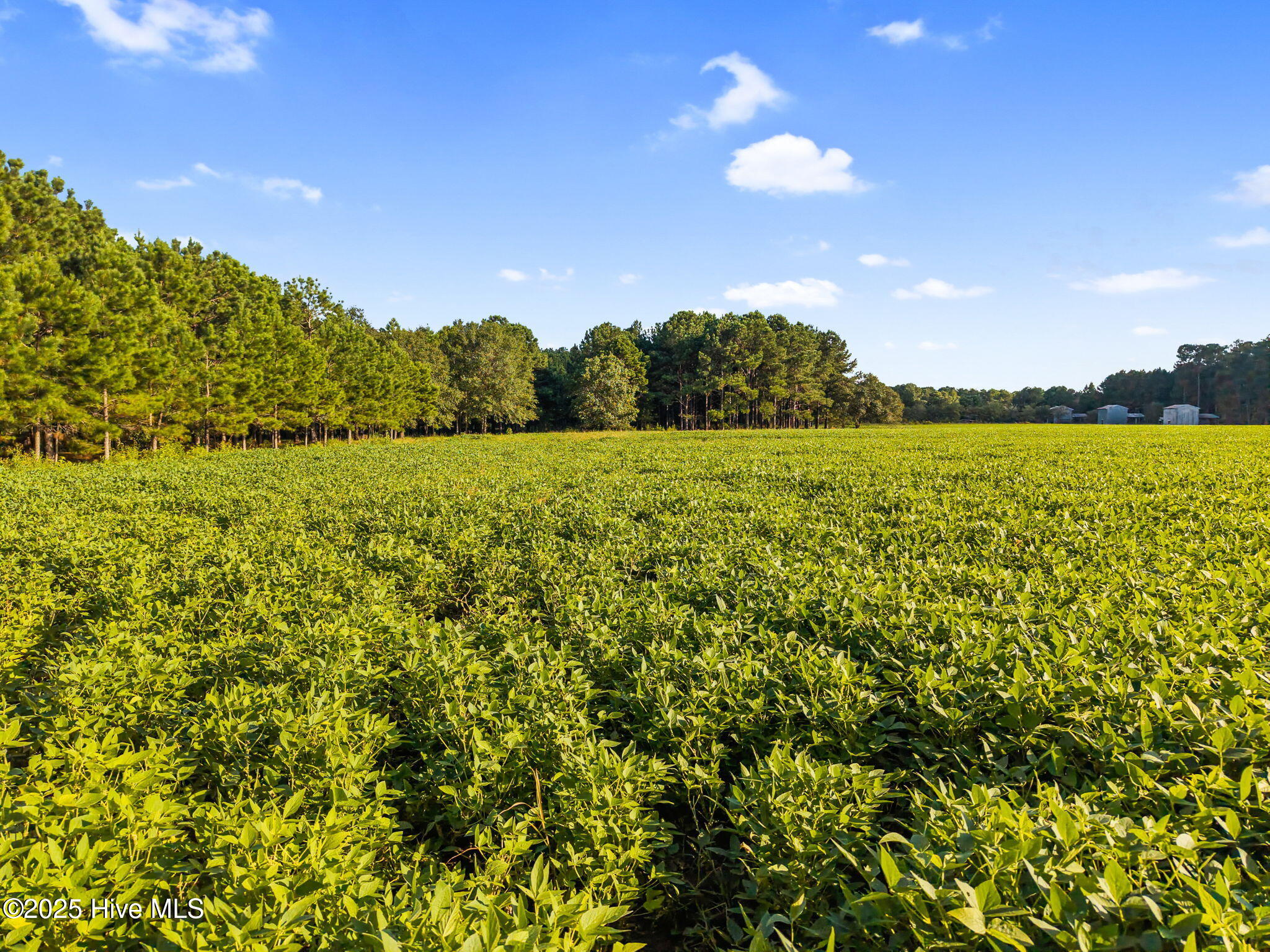 100528749 | Photo 15