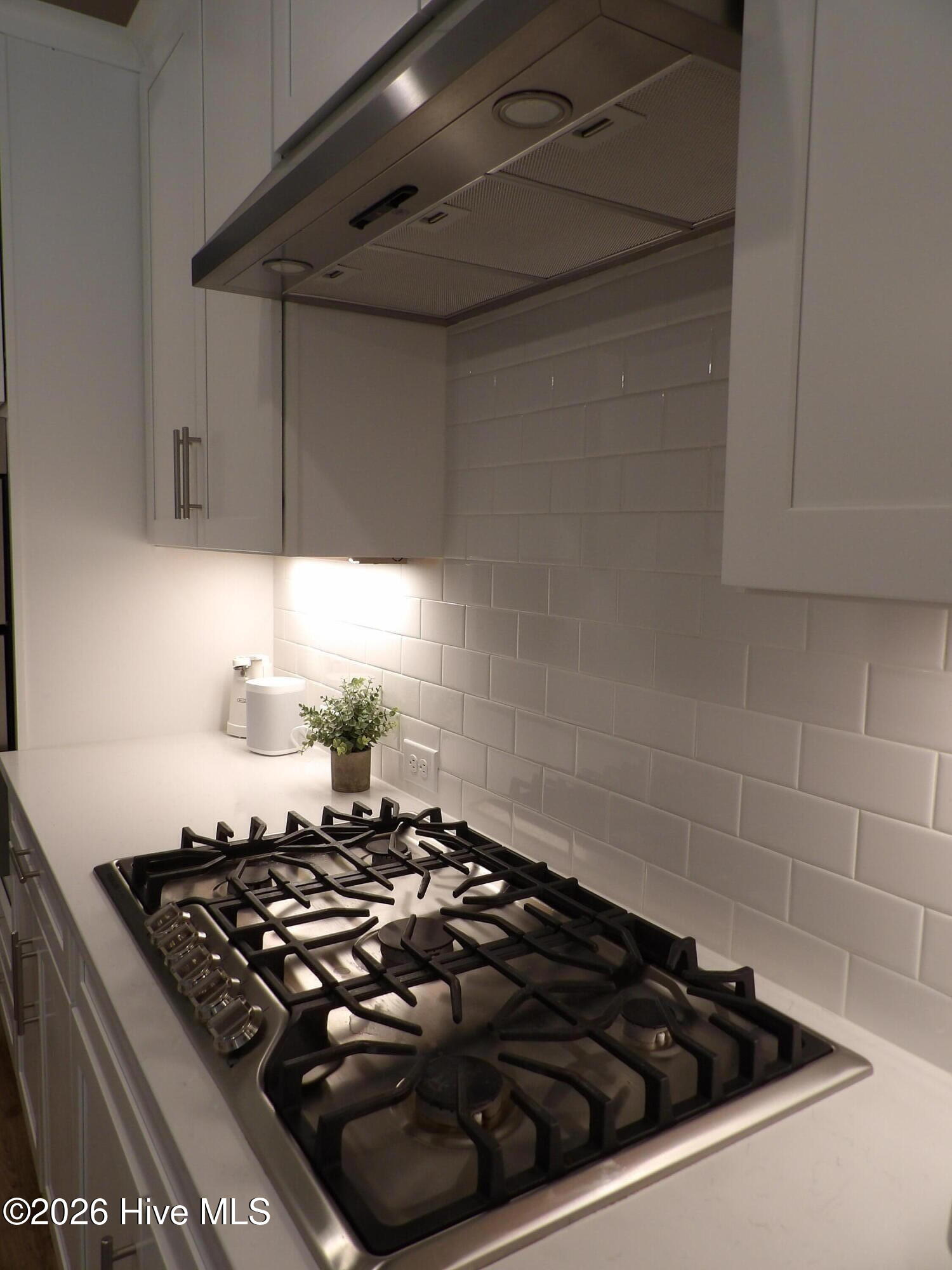 100561891 | Photo 22