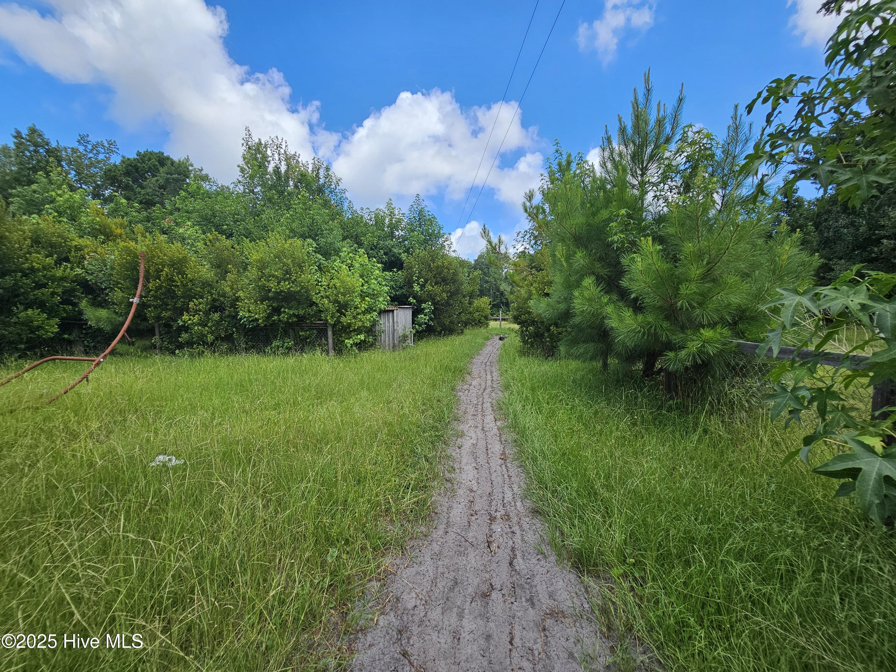 100521326 | Photo 21