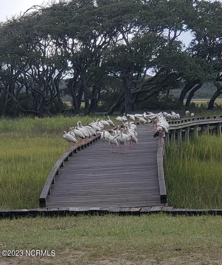 100387991 | Photo 22