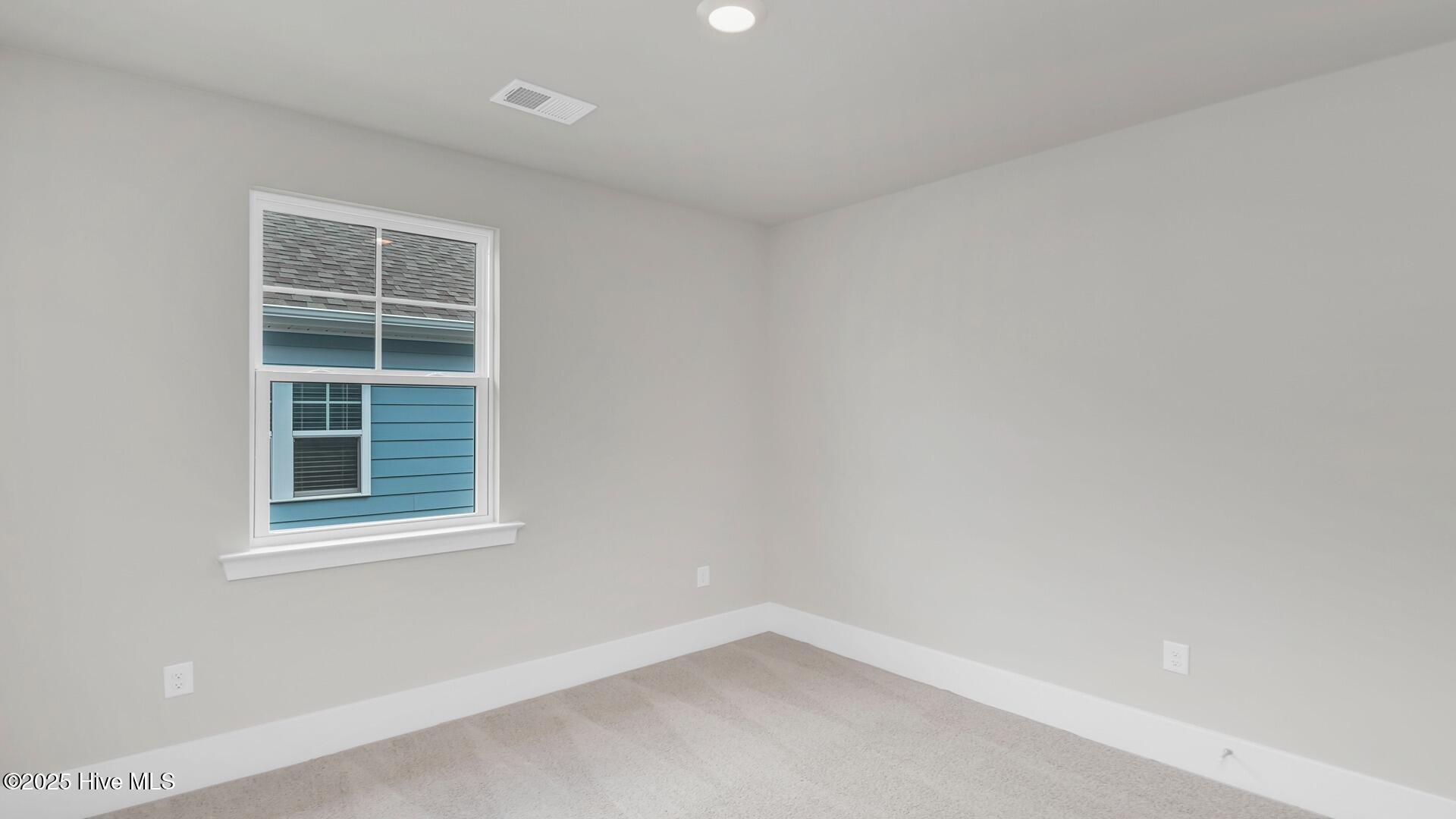 100535802 | Photo 11