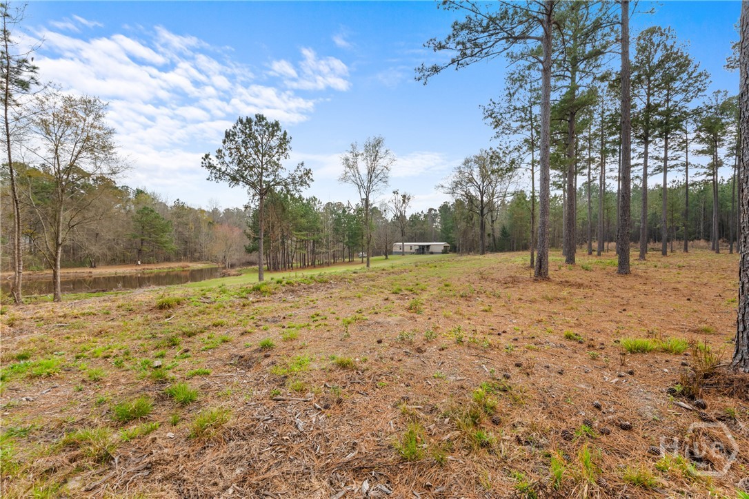 3127 Buttermilk, Sylvania, GA, 30467