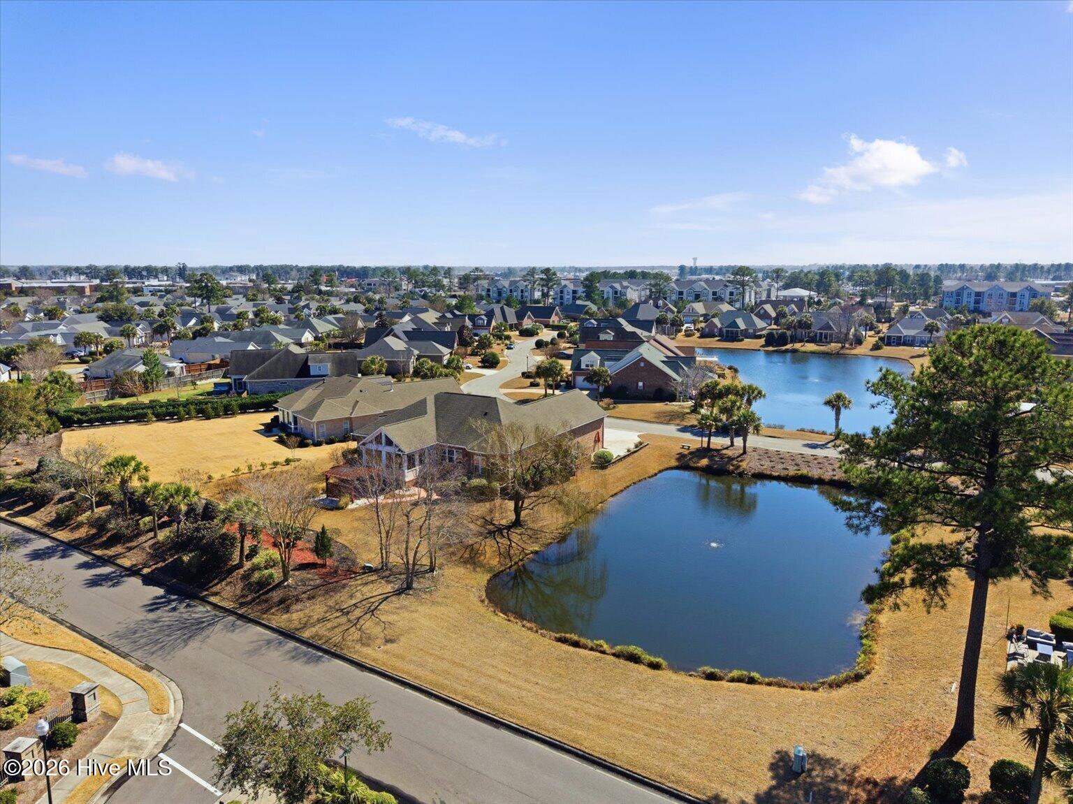 100557521 | Photo 59