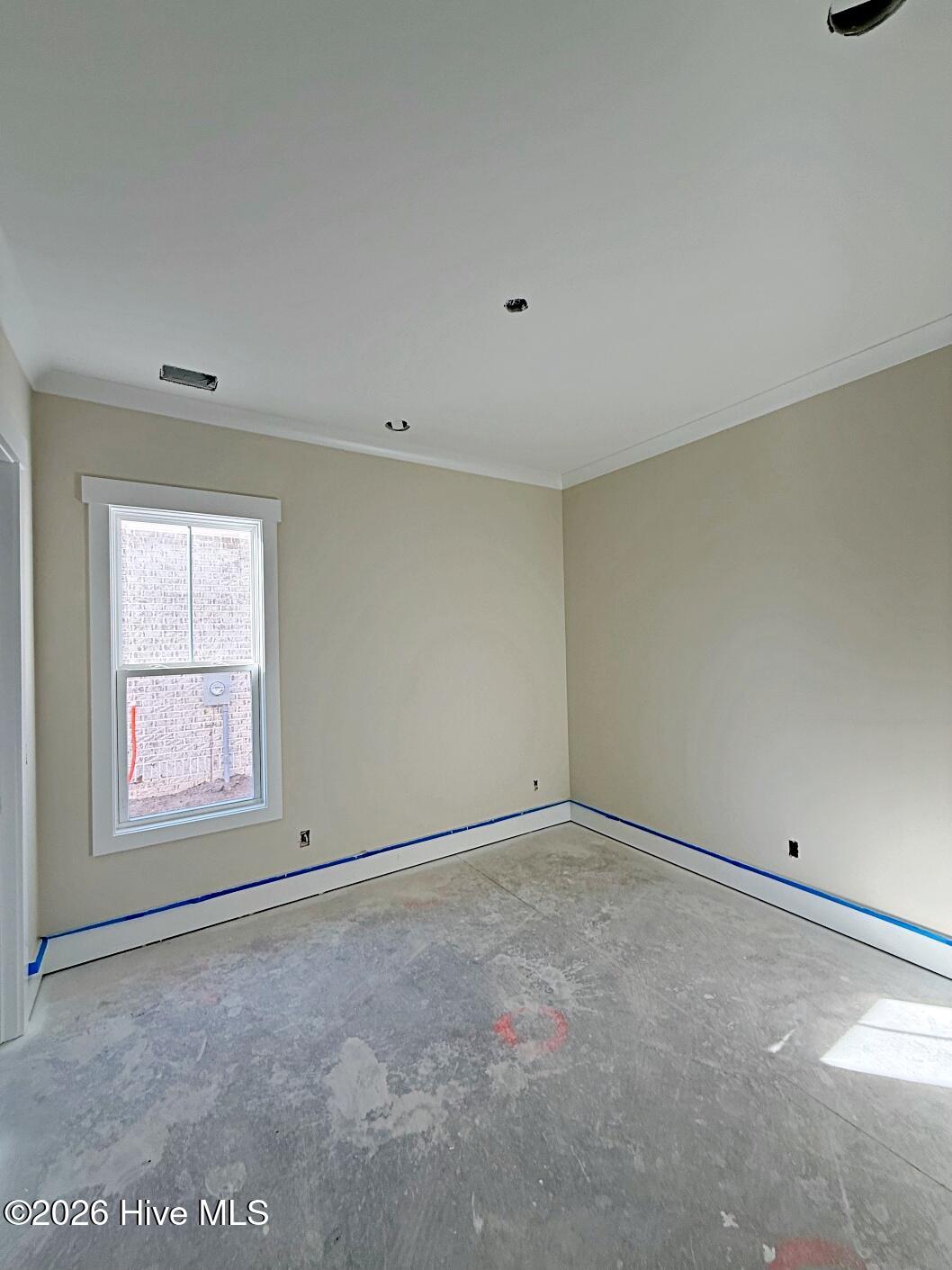 100537171 | Photo 22