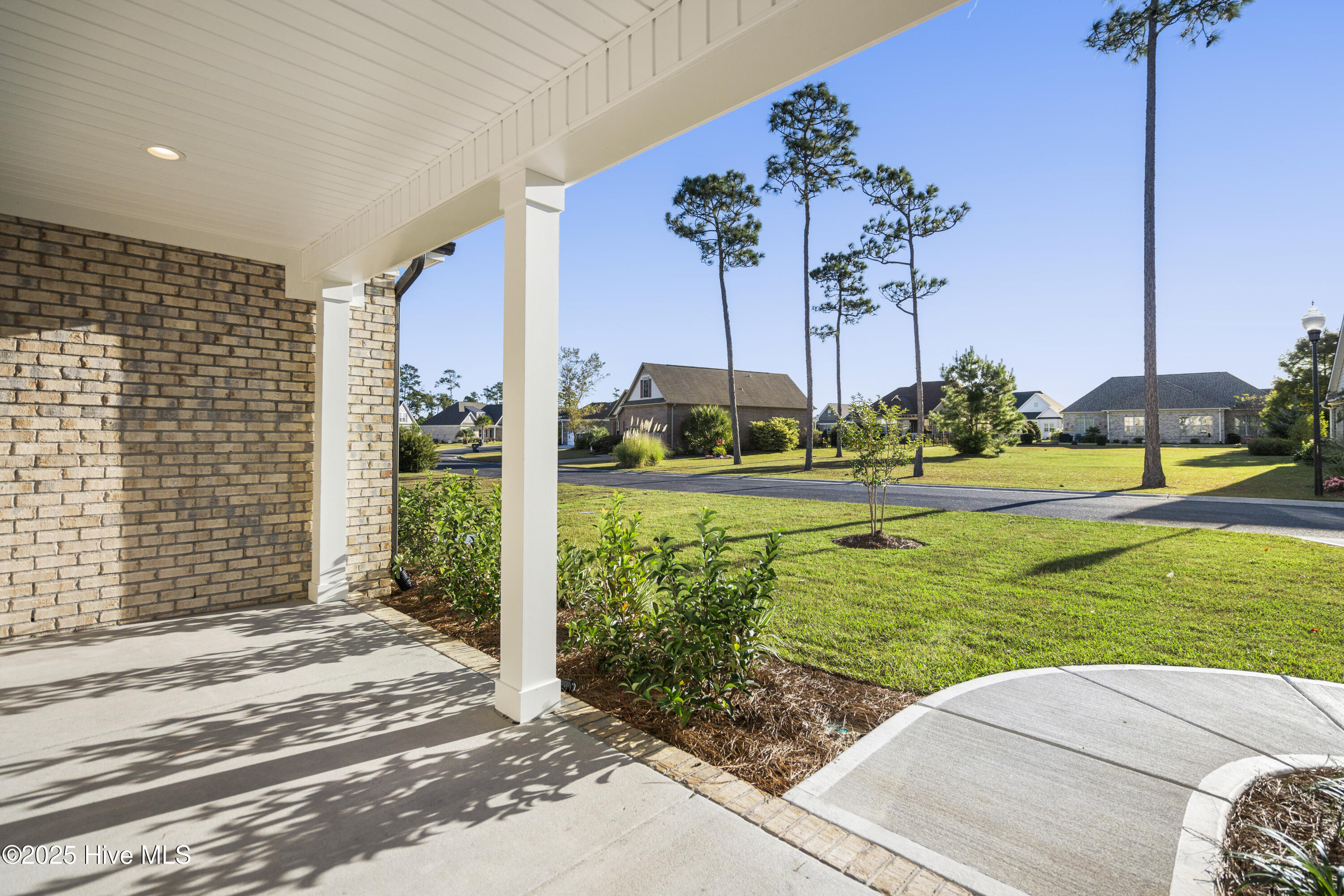 100493135 | Photo 60