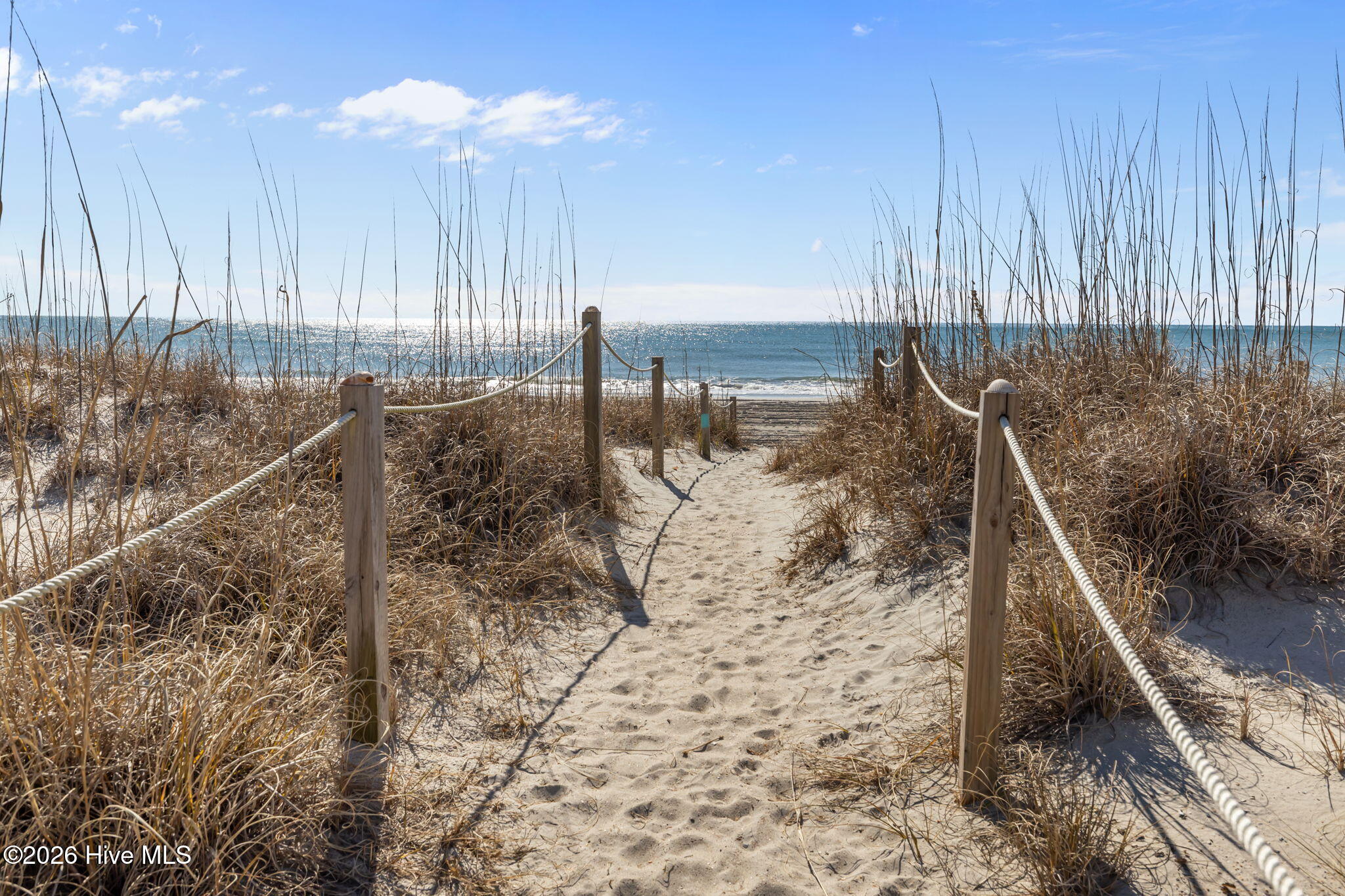 100556660 | Photo 42