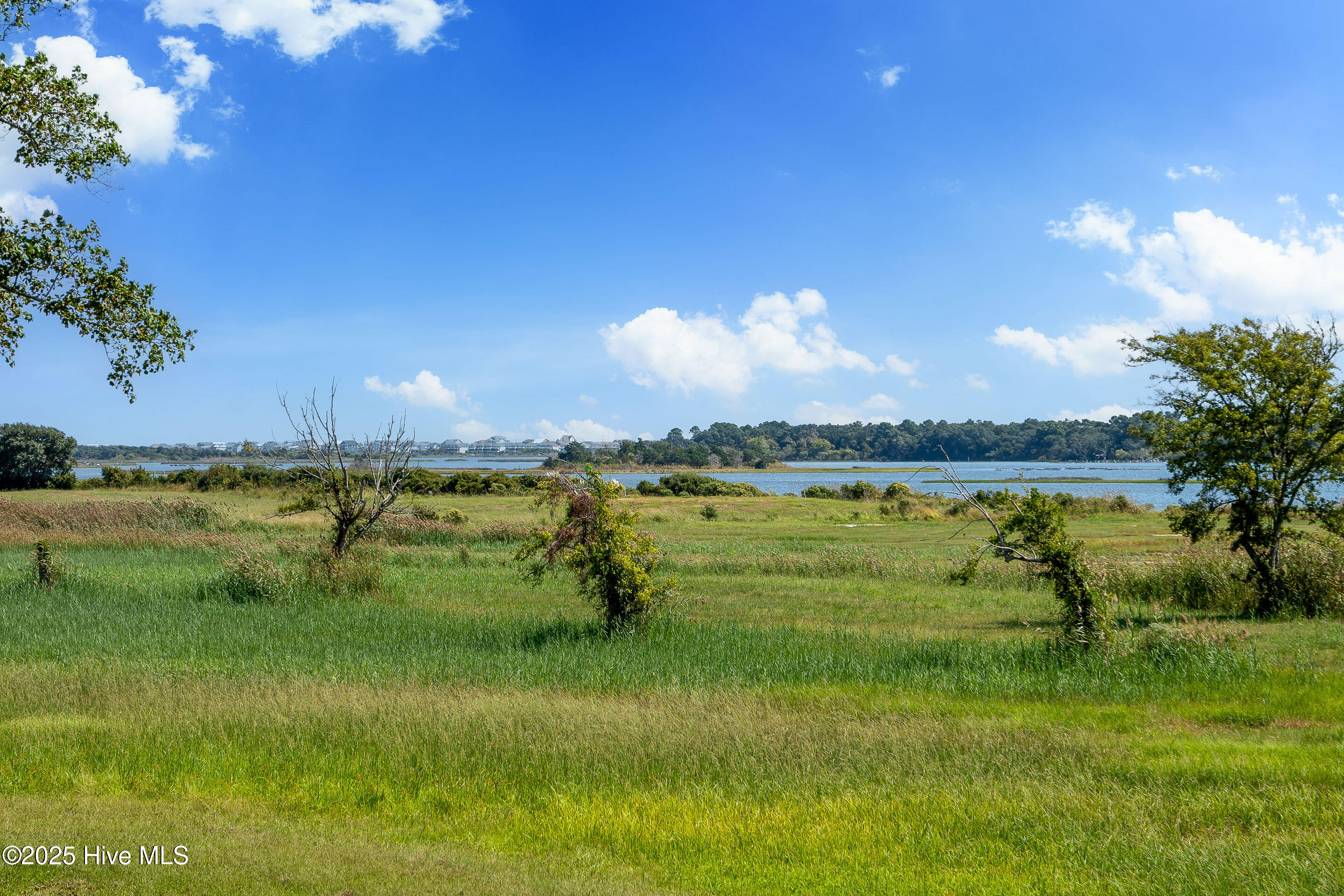 100557096 | Photo 70