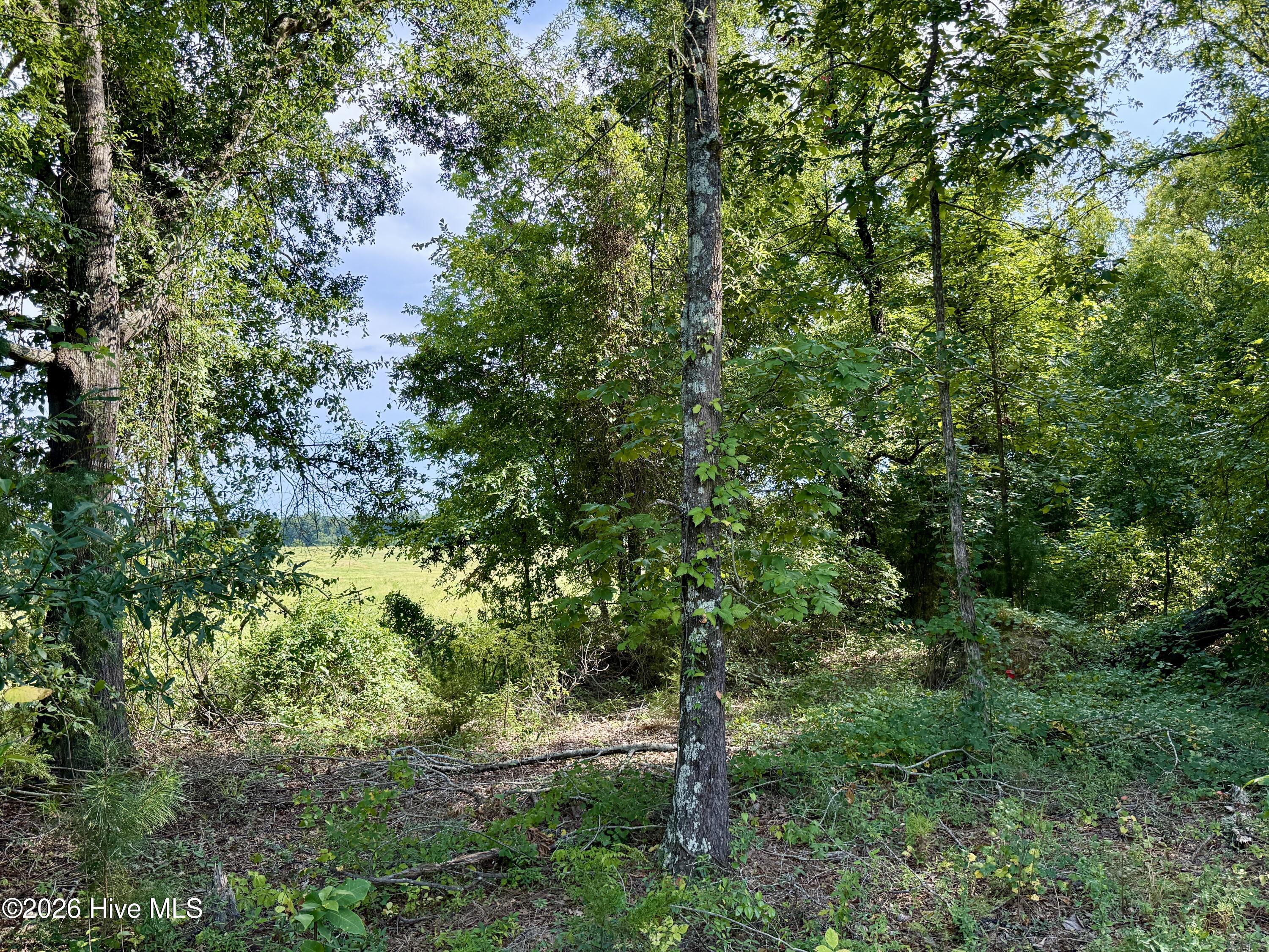 3rd image of 9153 Hwy 28 South S, Plum Branch, SC 29845 | MLS# 100595574