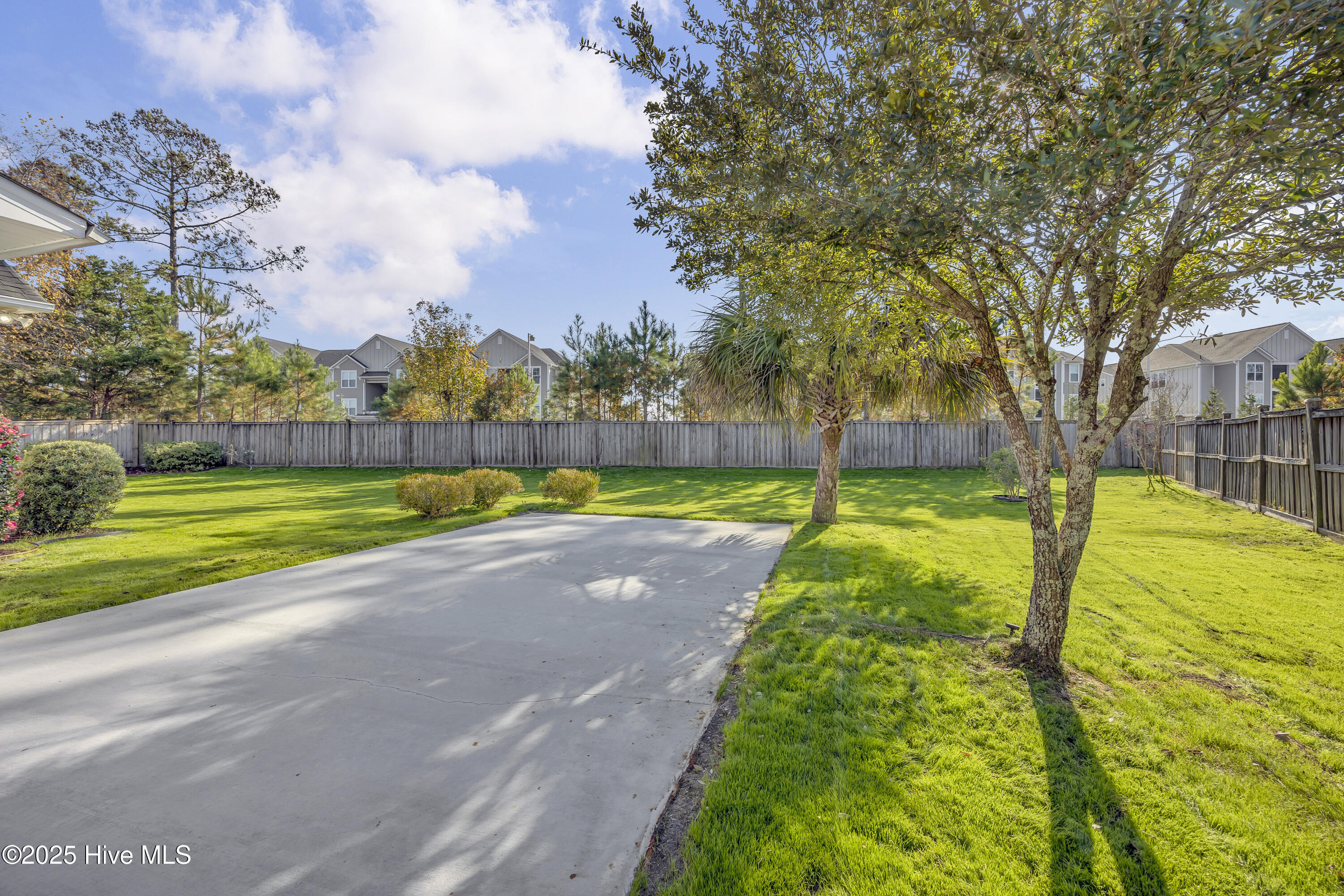 100542257 | Photo 25