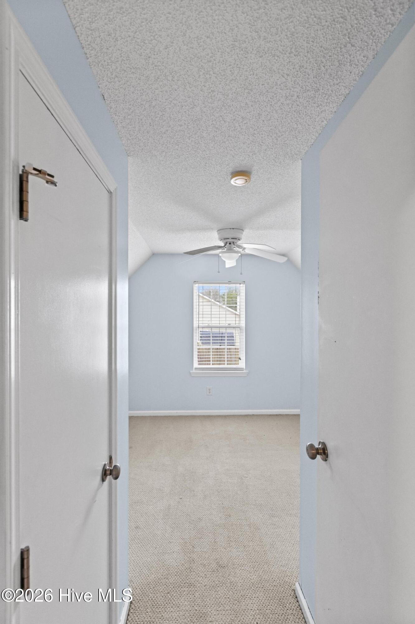 100556616 | Photo 16