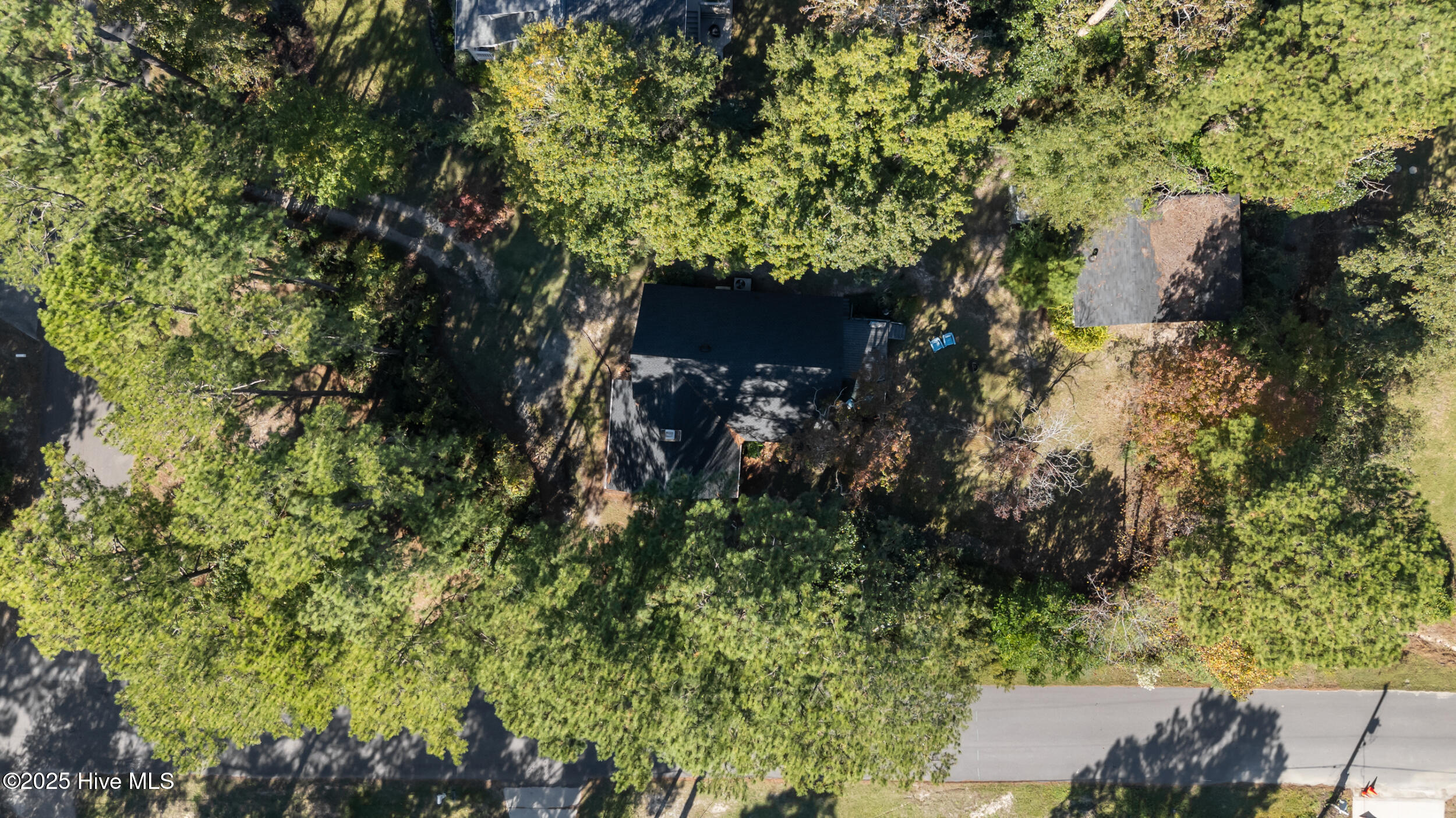 100537858 | Photo 31