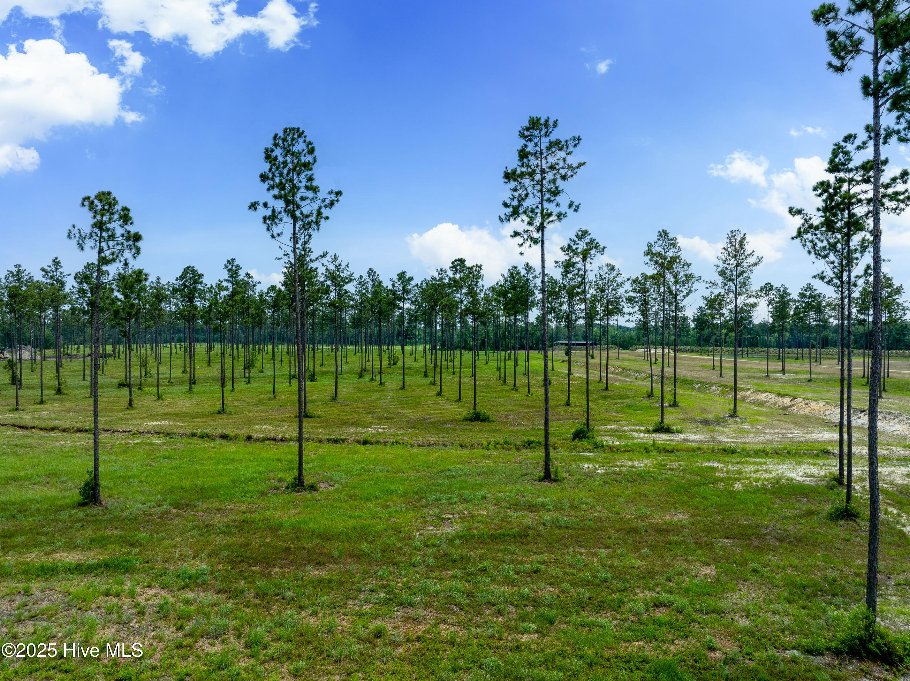 100520208 | Photo 12