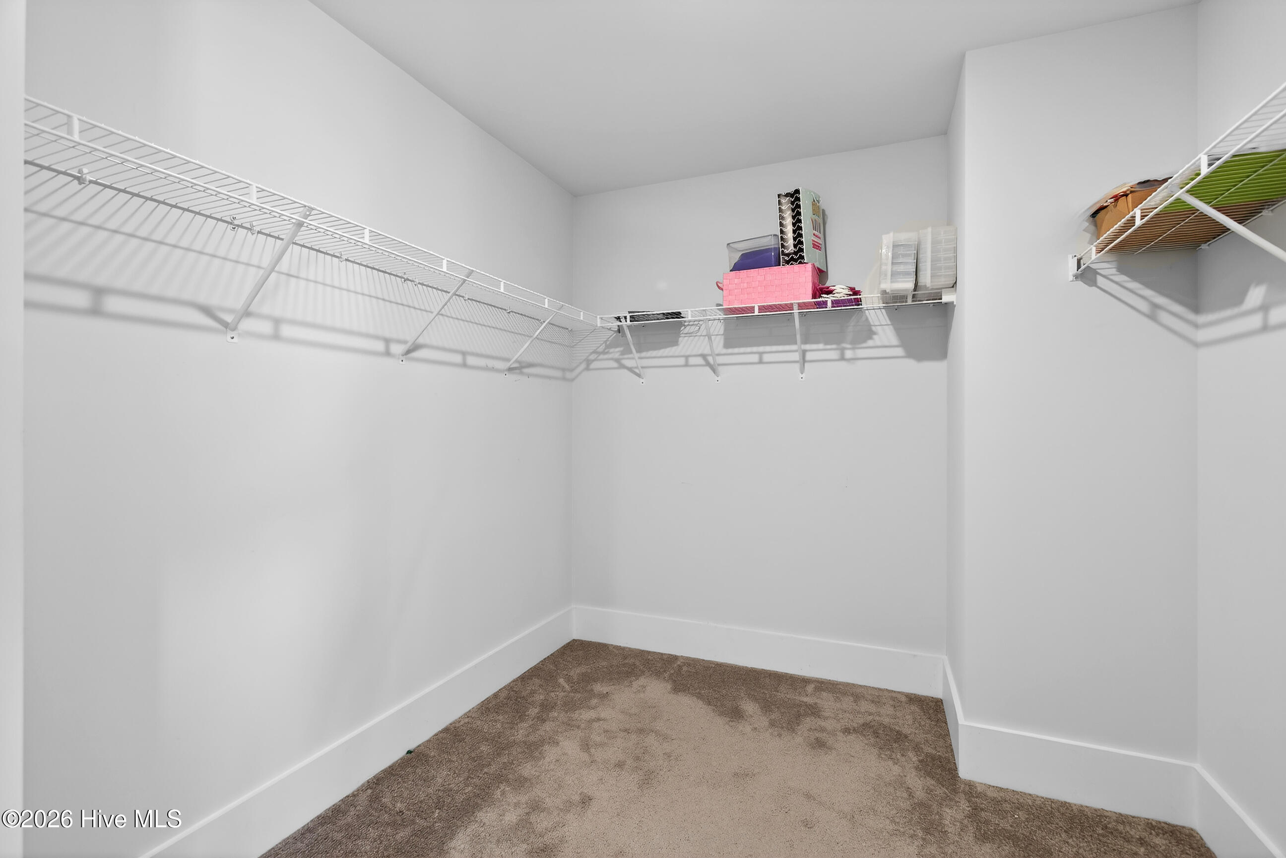 100562983 | Photo 24