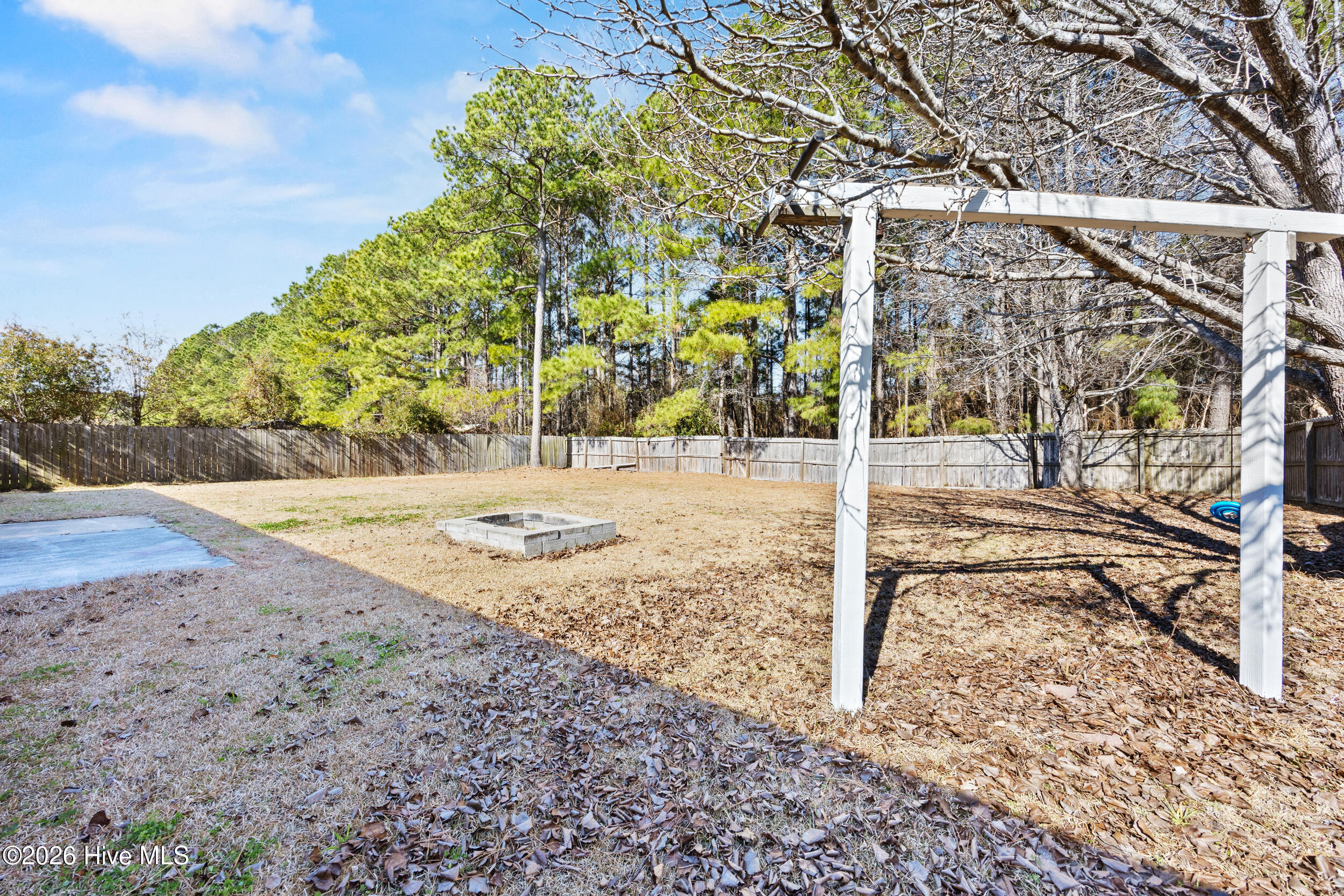 100556766 | Photo 28