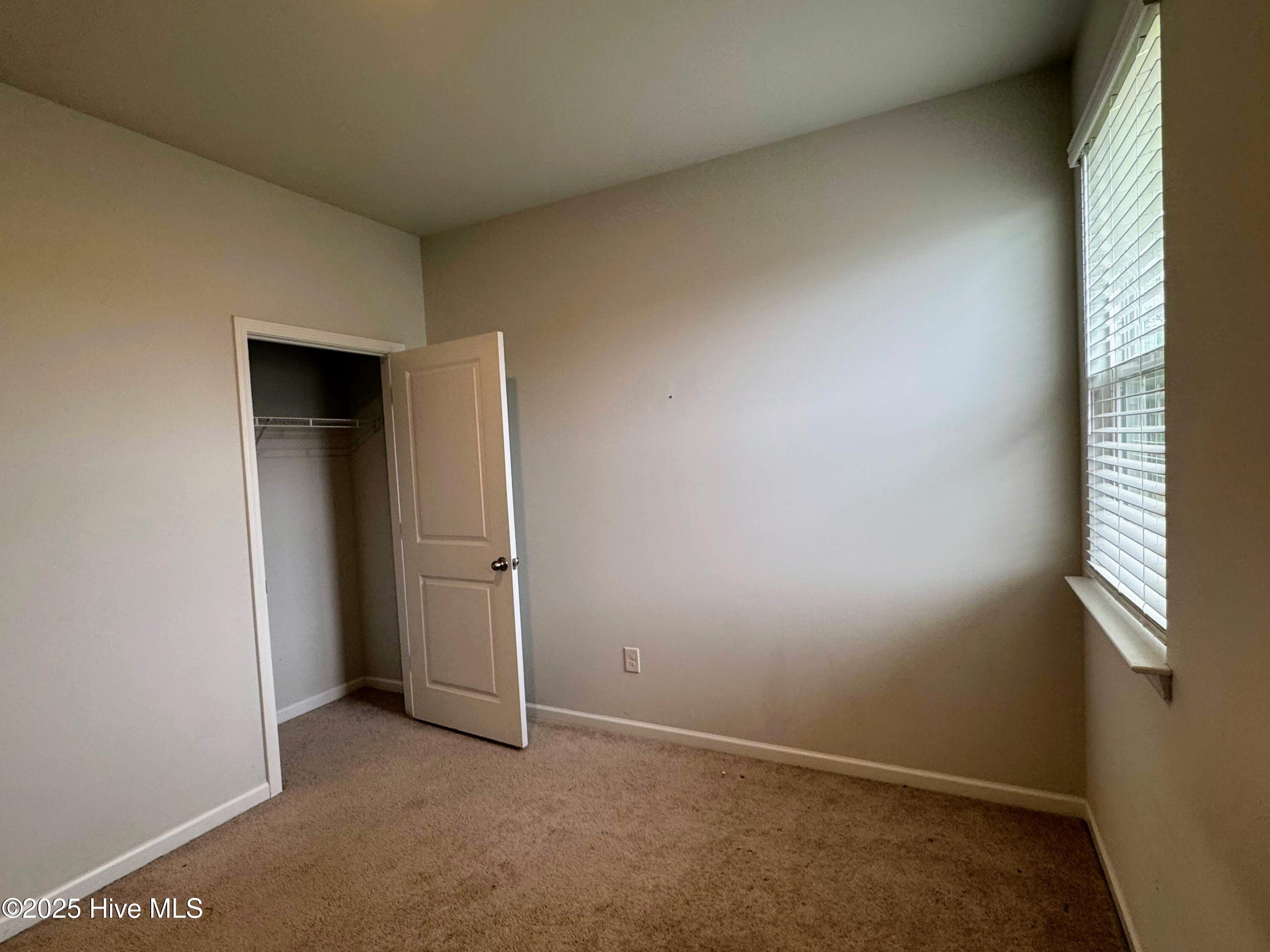 100533613 | Photo 19