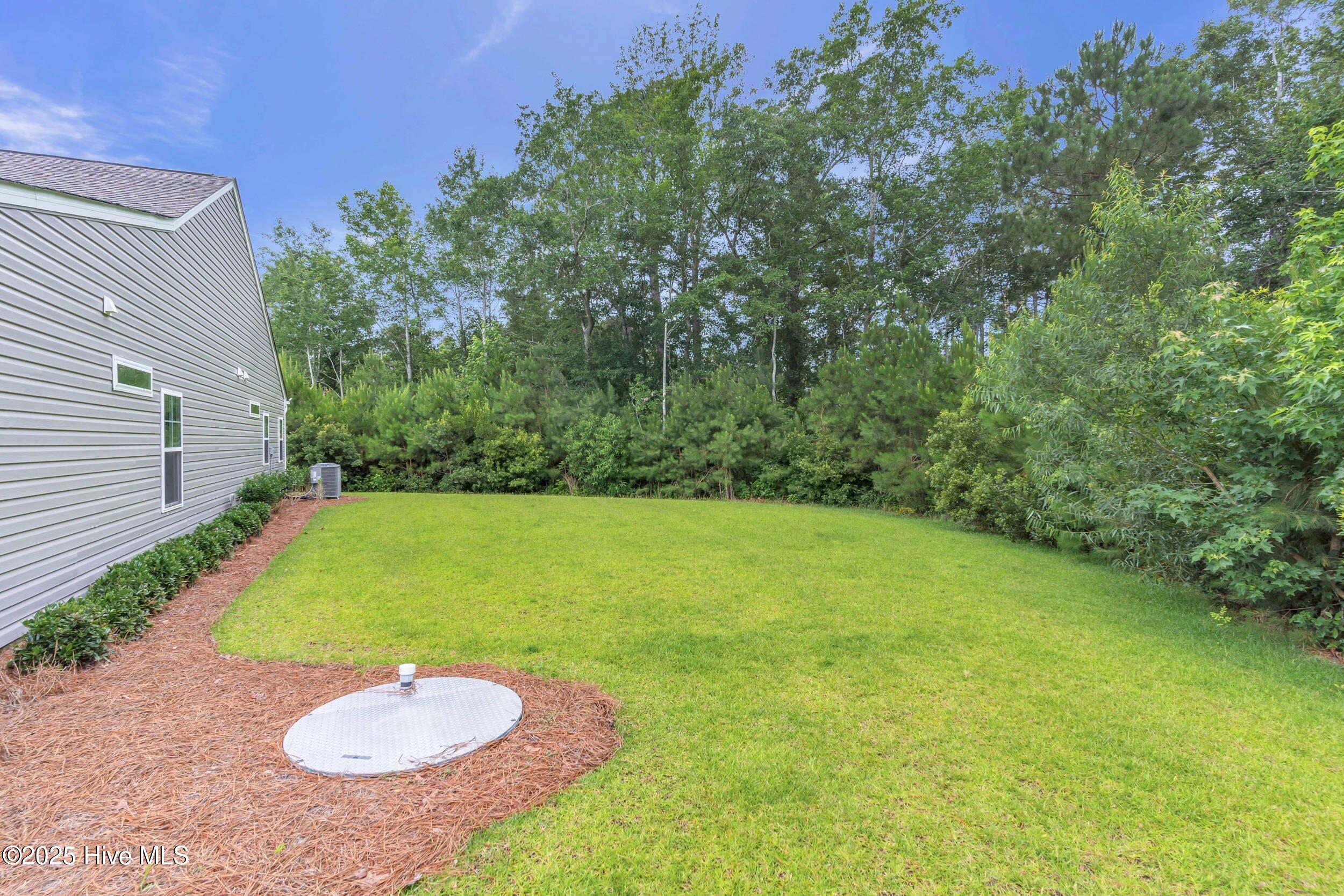 100514304 | Photo 35