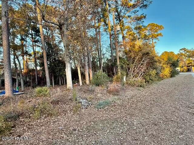 100559172 | Photo 12