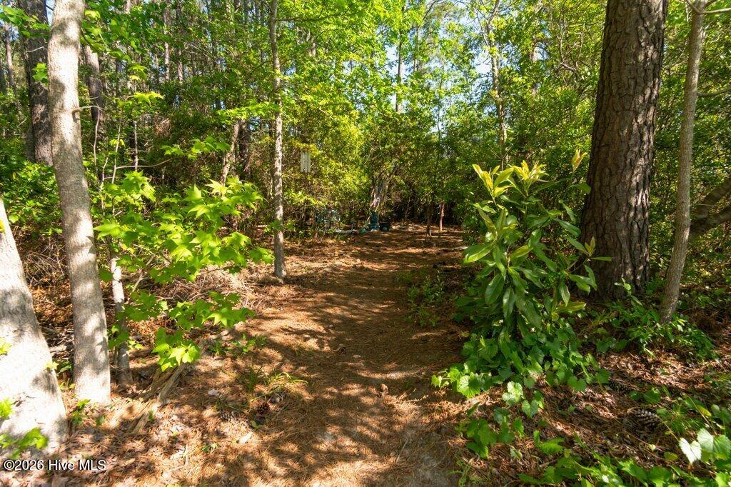 100569625 | Photo 52