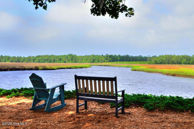 100554339 | Photo 26