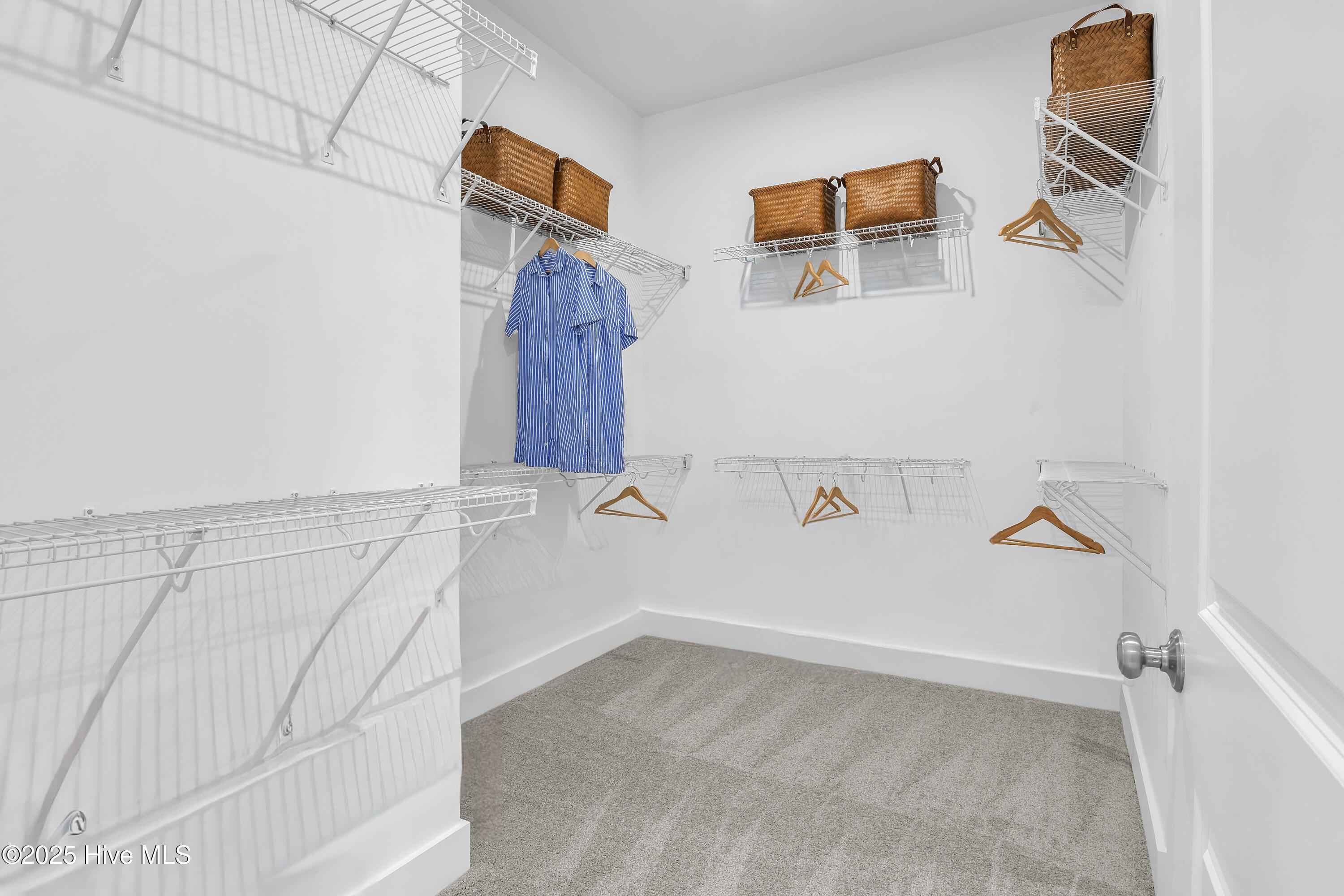 100533746 | Photo 37