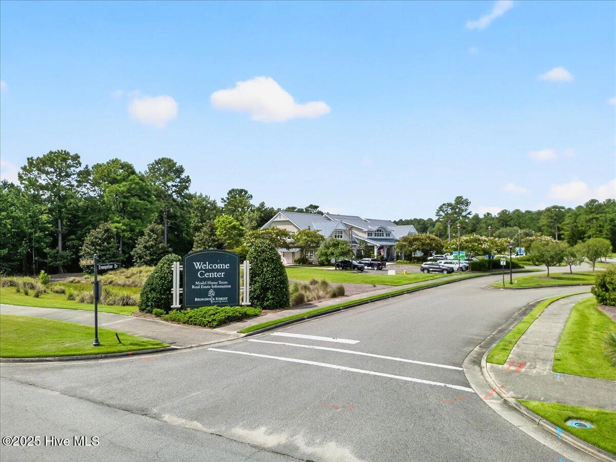 100537556 | Photo 64