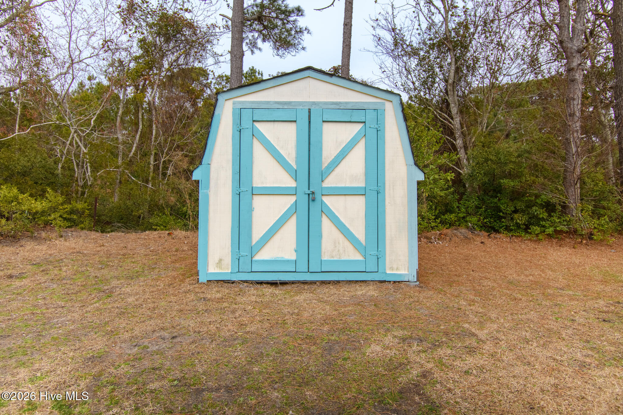 100558747 | Photo 44