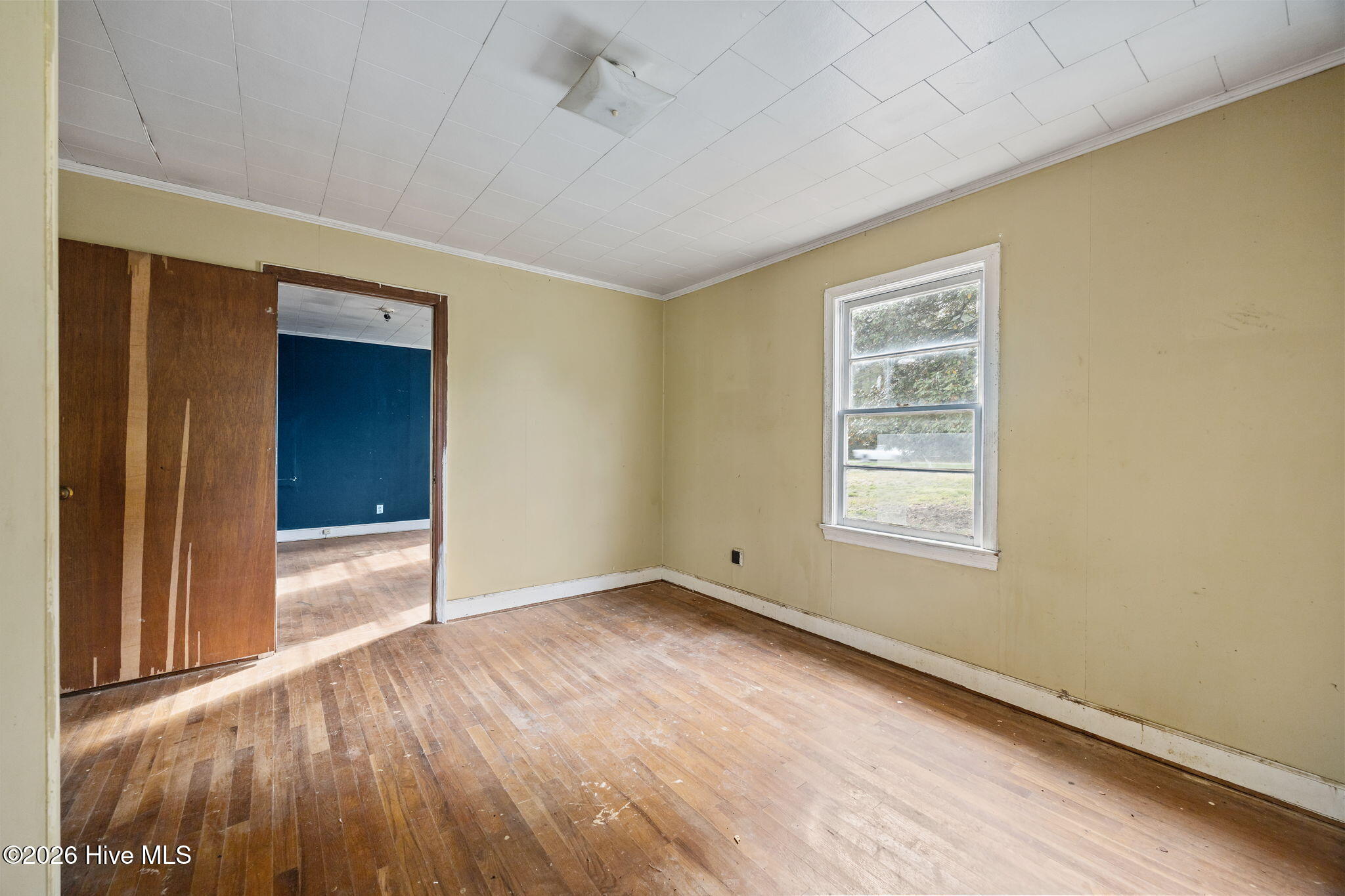 100565134 | Photo 28