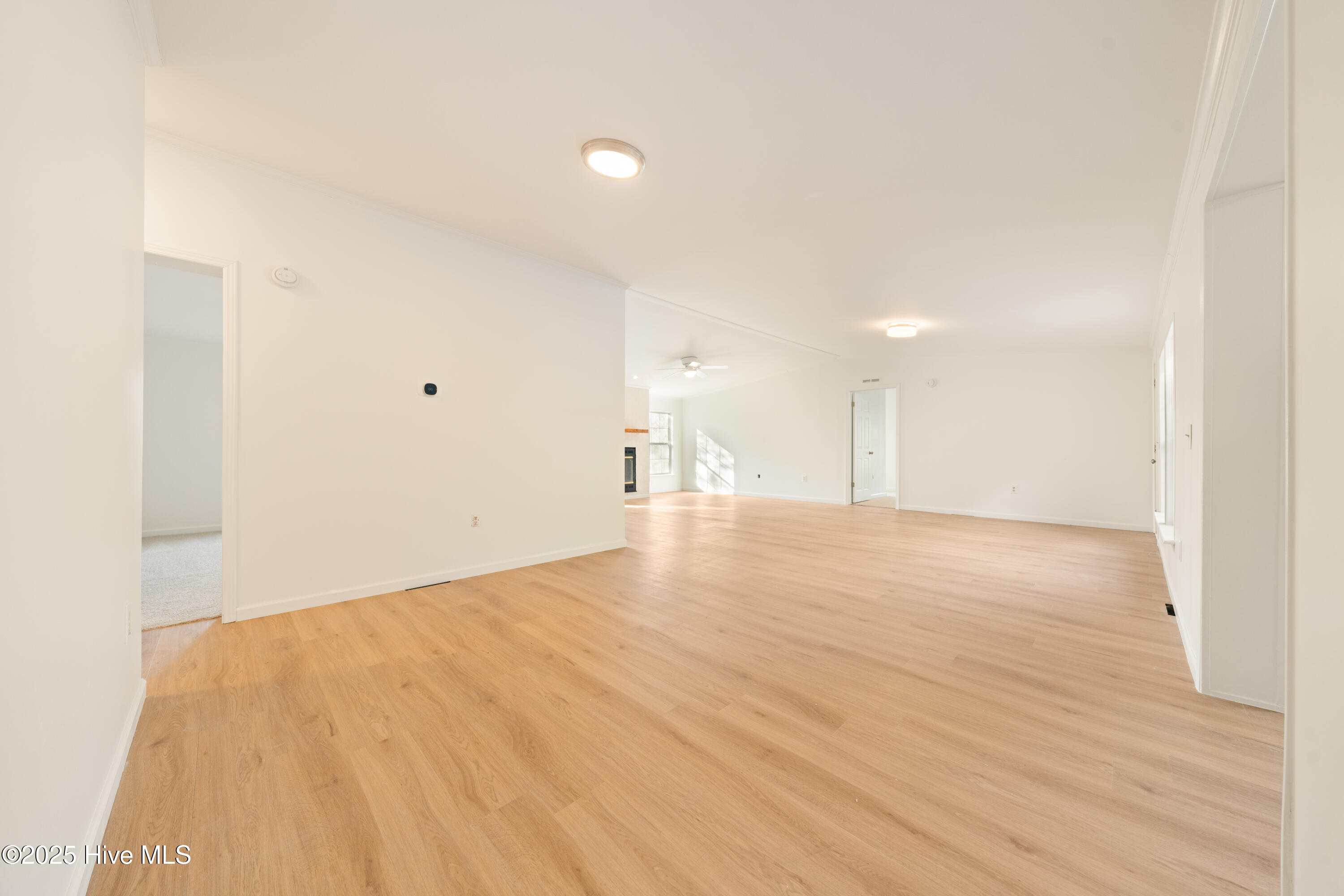 100541471 | Photo 21