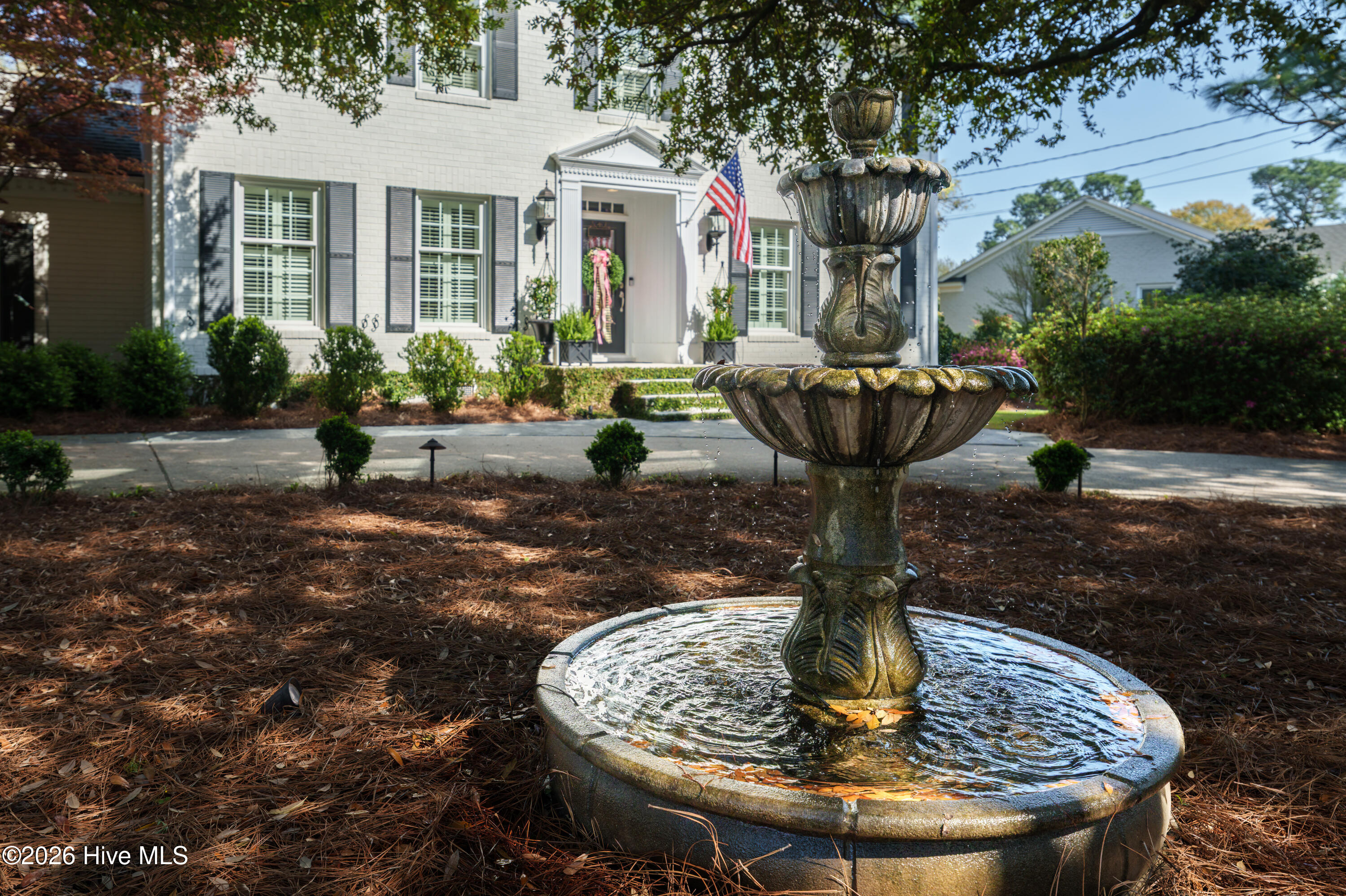 100565005 | Photo 50