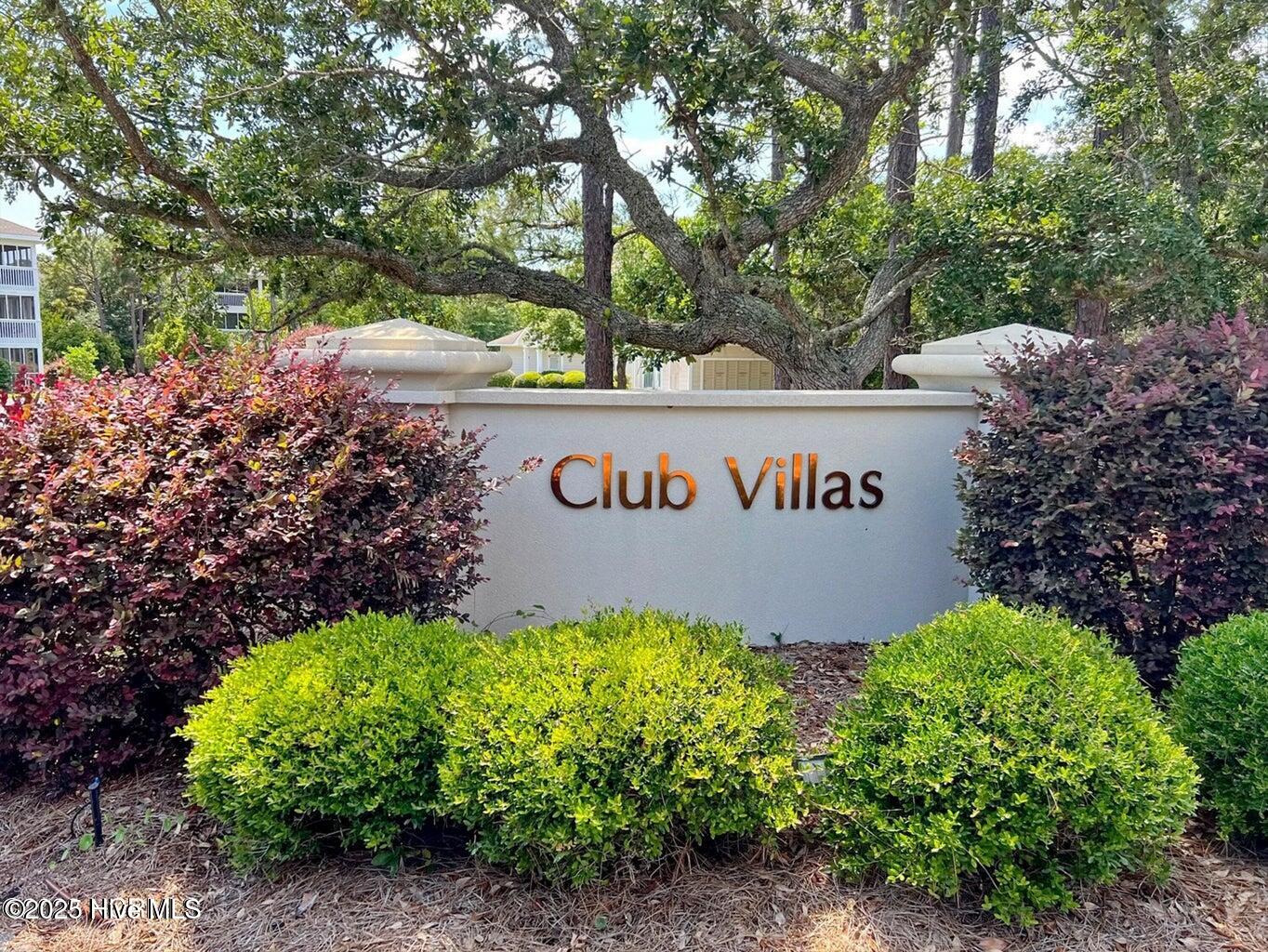 100543125 | Photo 49