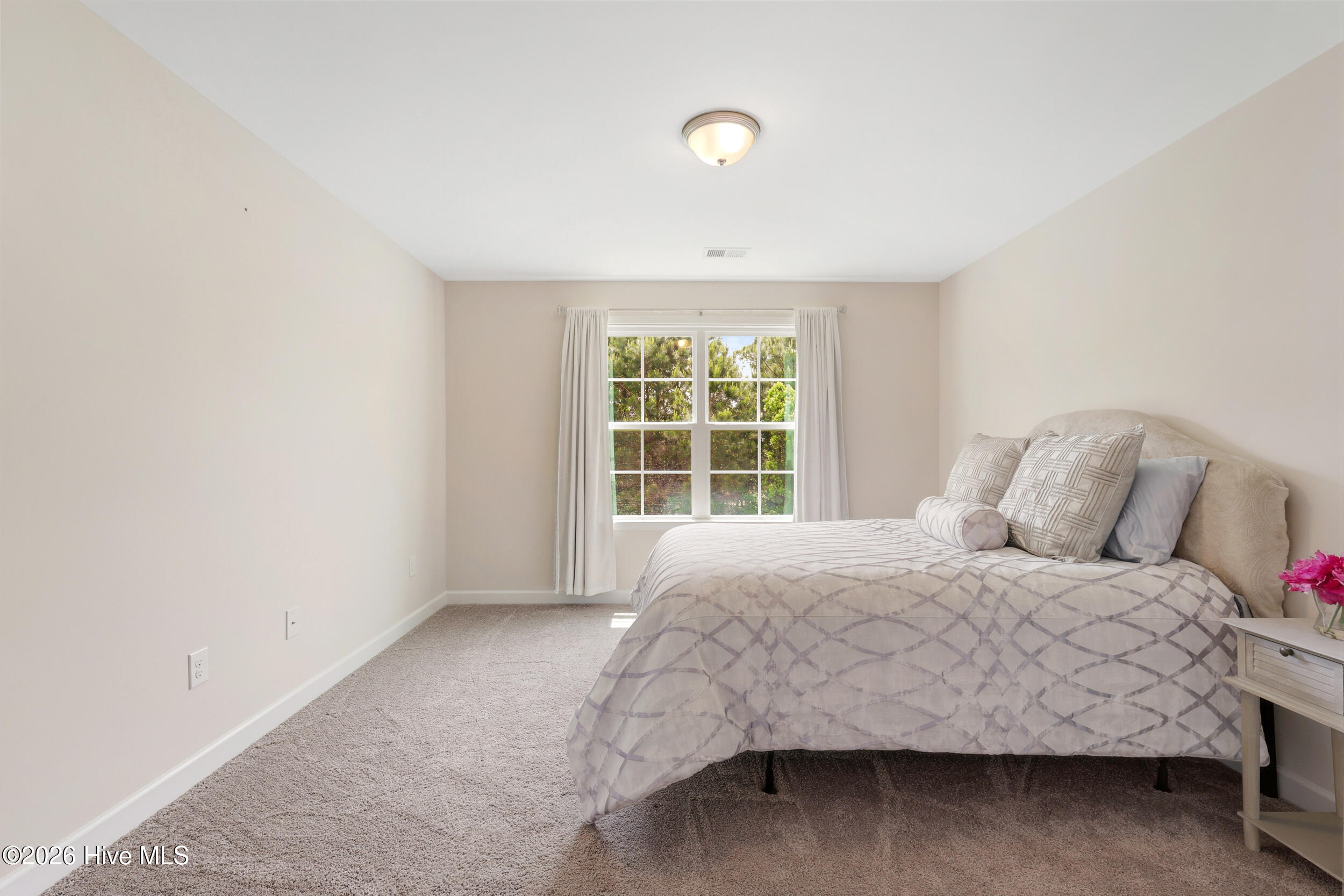 100570535 | Photo 31