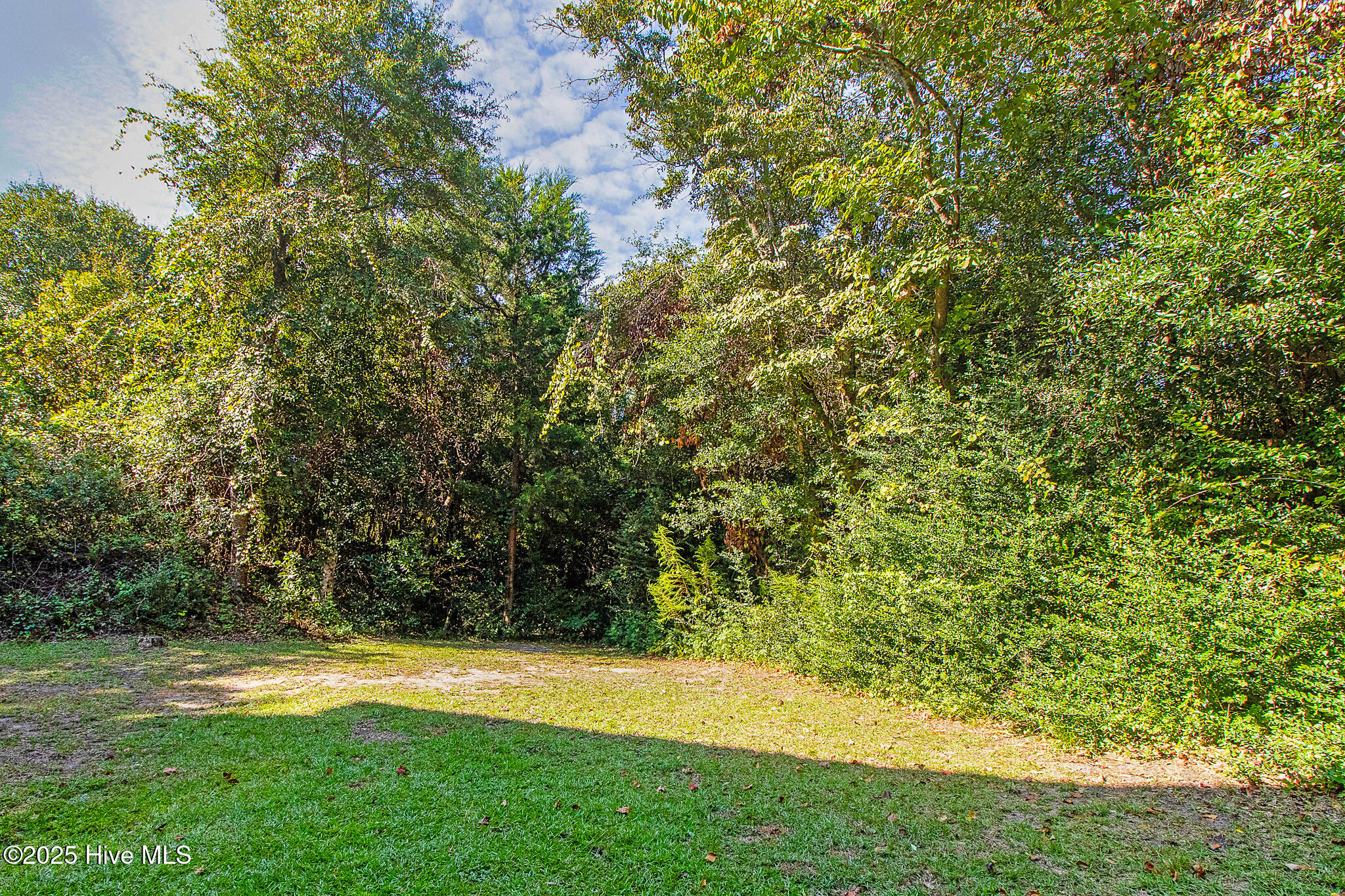 100533935 | Photo 31