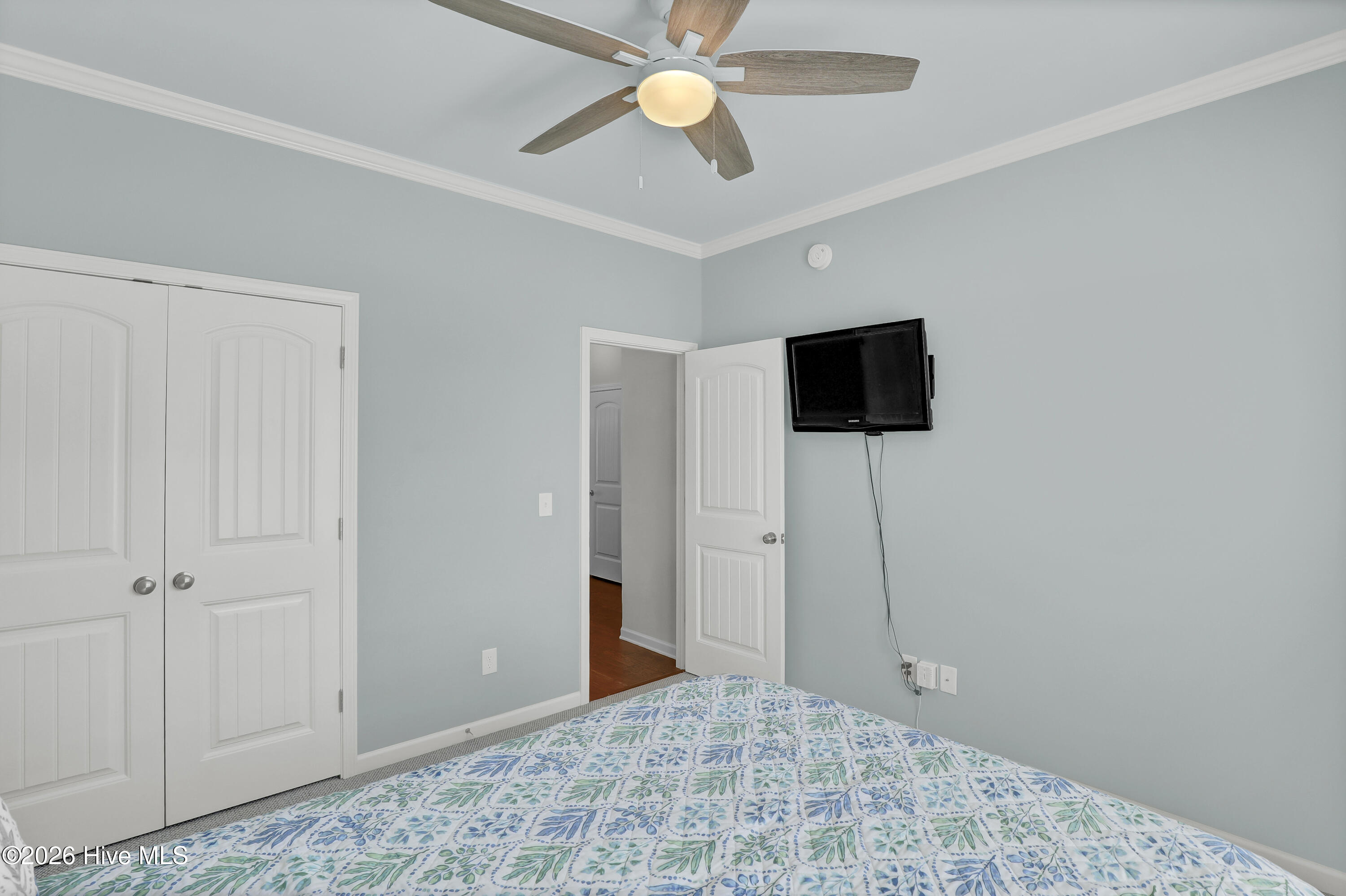 100567607 | Photo 27