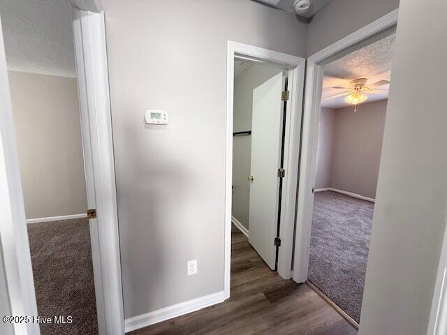 100560853 | Photo 14