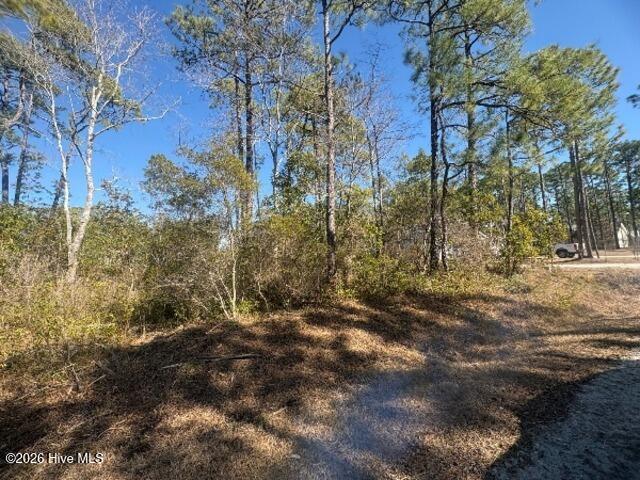 Homes for sale in Boiling Spring Lakes, NC | 516 Barclay Rd, Boiling Spring Lakes, NC 28461 | MLS# 100554716