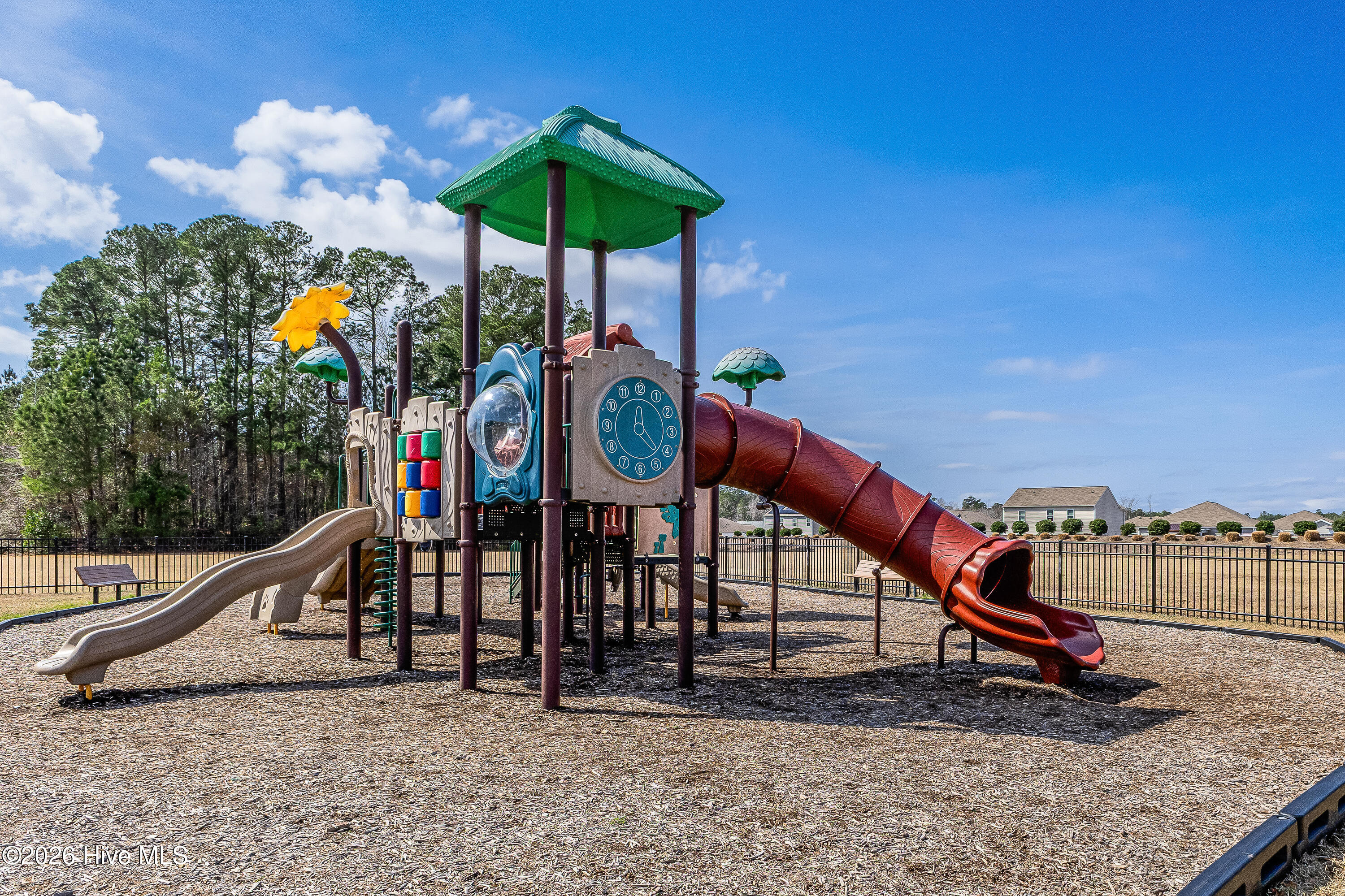 100559432 | Photo 41