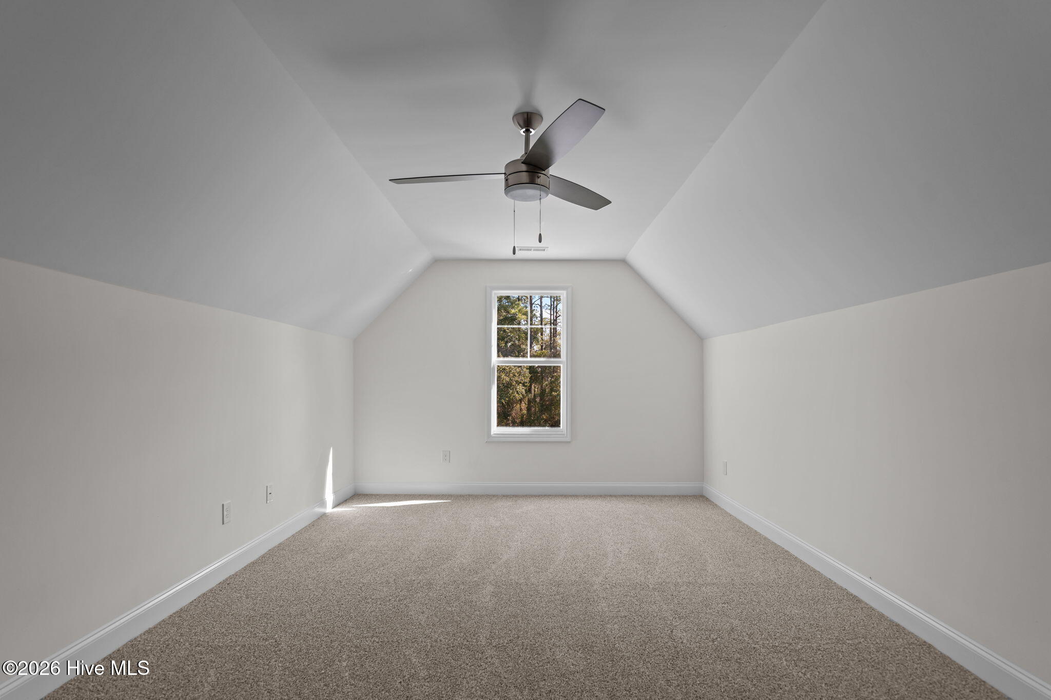 100528702 | Photo 41