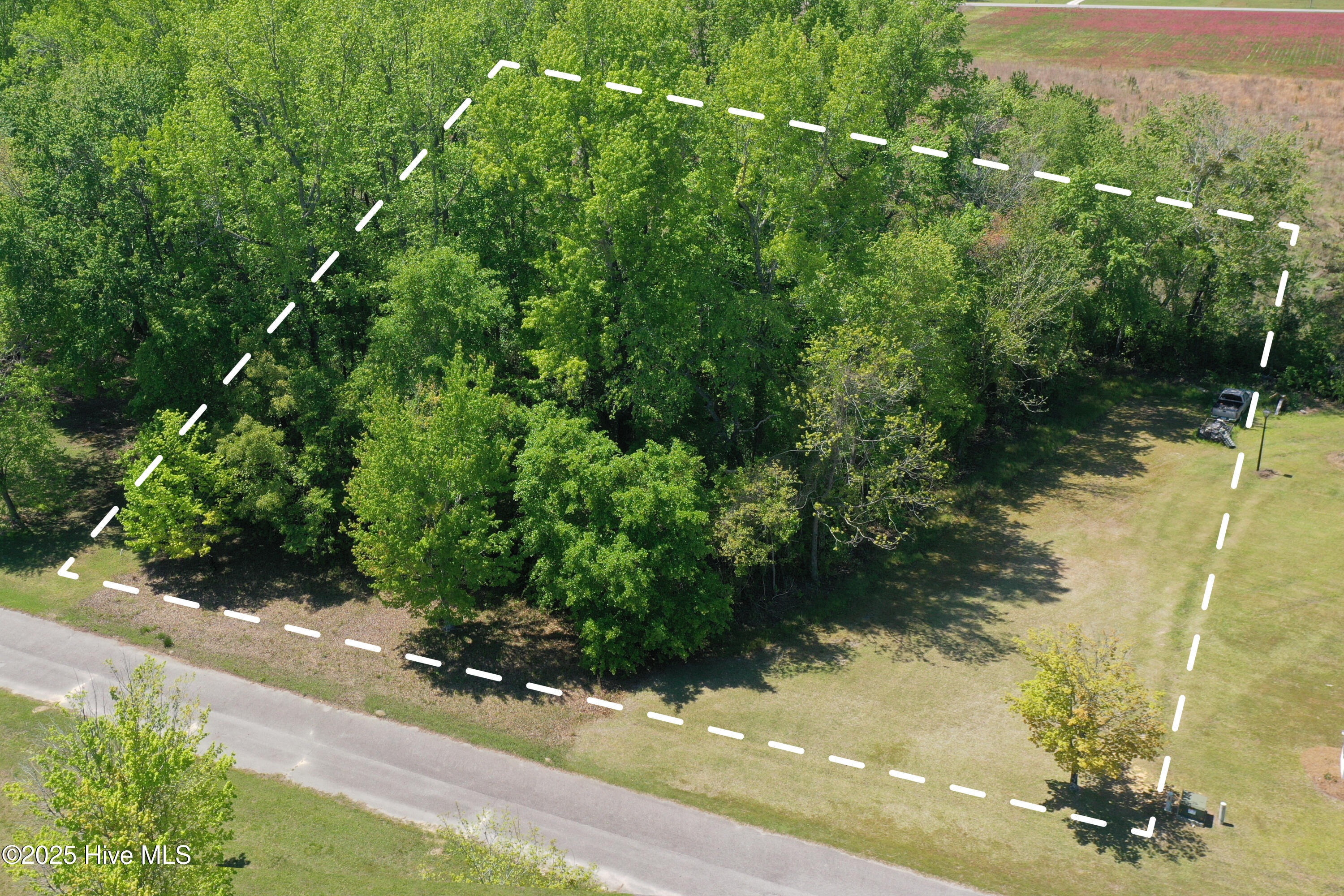 100502327 | Photo 12