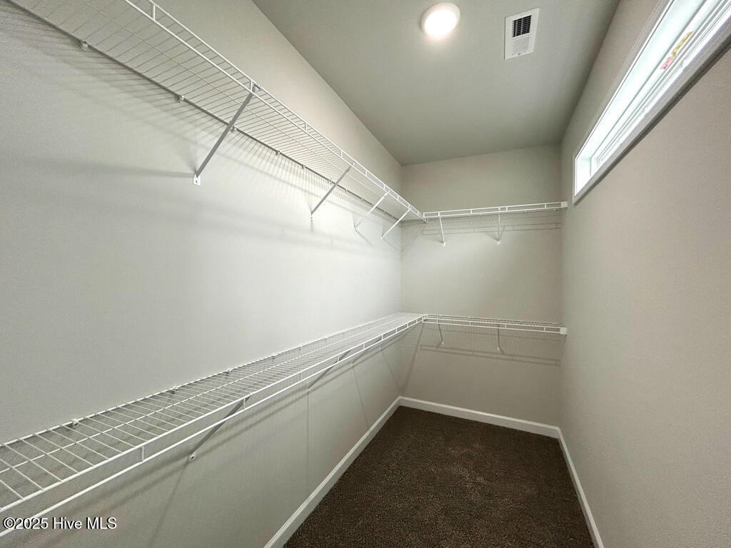 100522239 | Photo 39