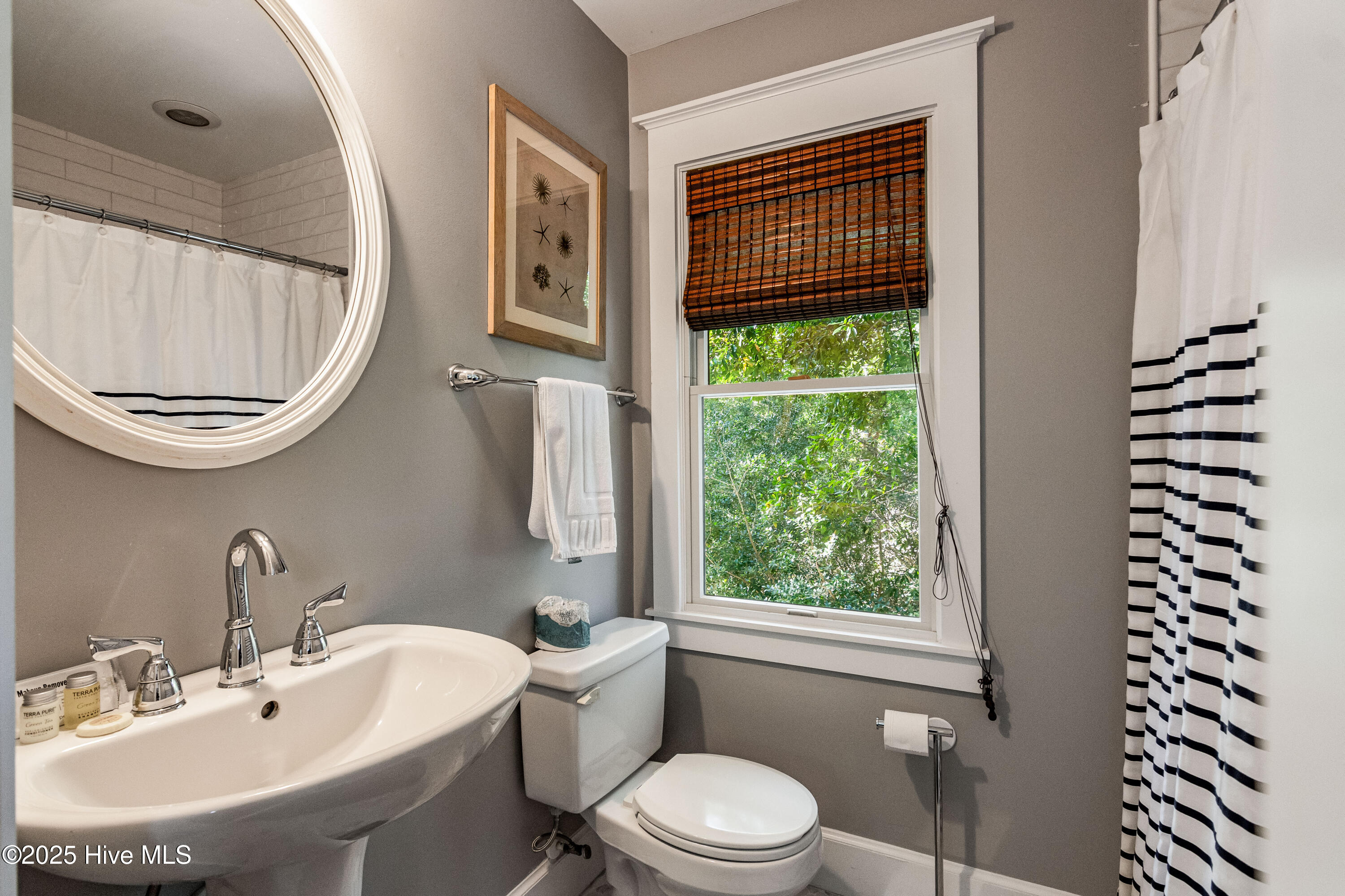 100530236 | Photo 61