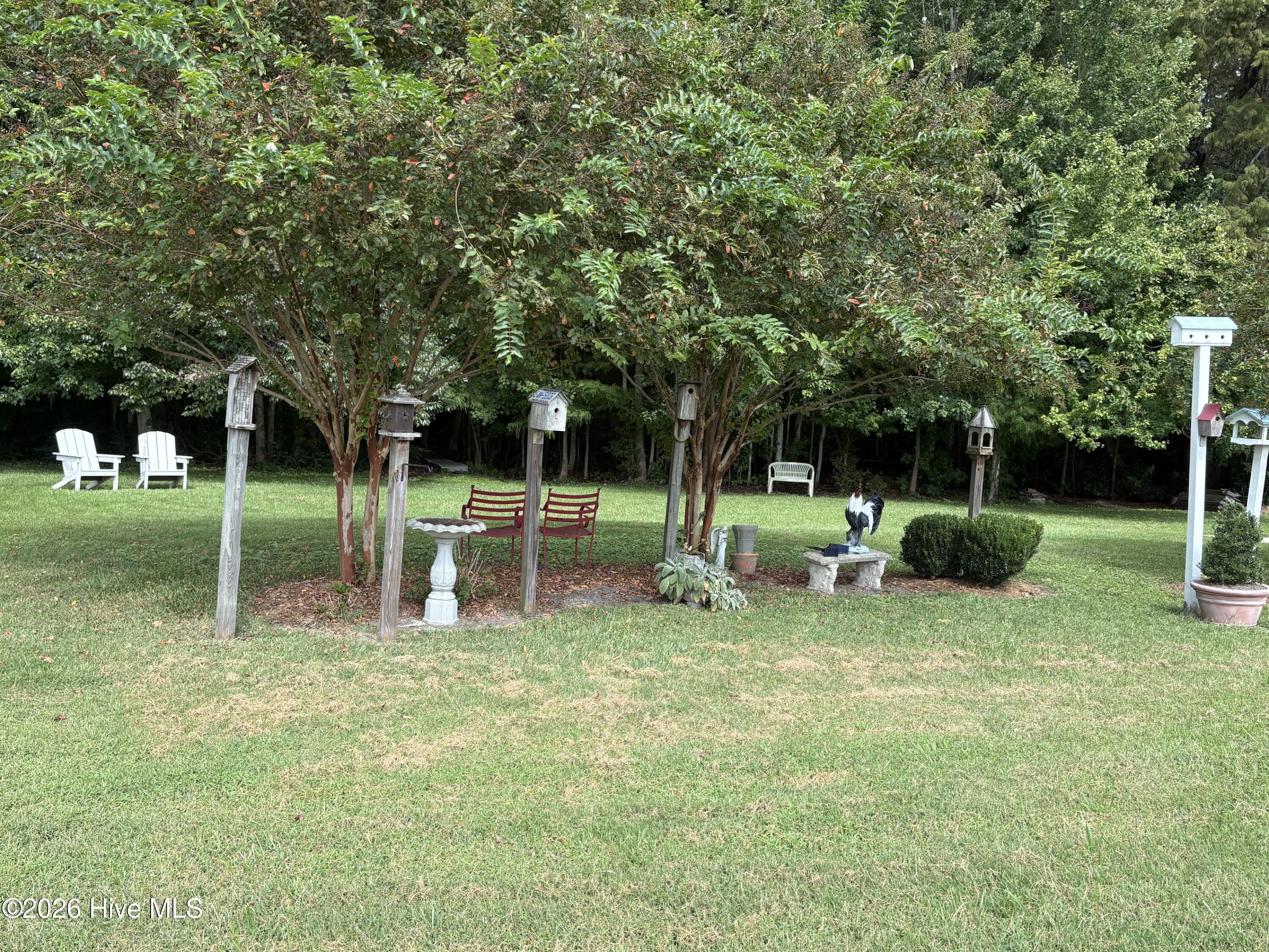 1096 backyard view 2