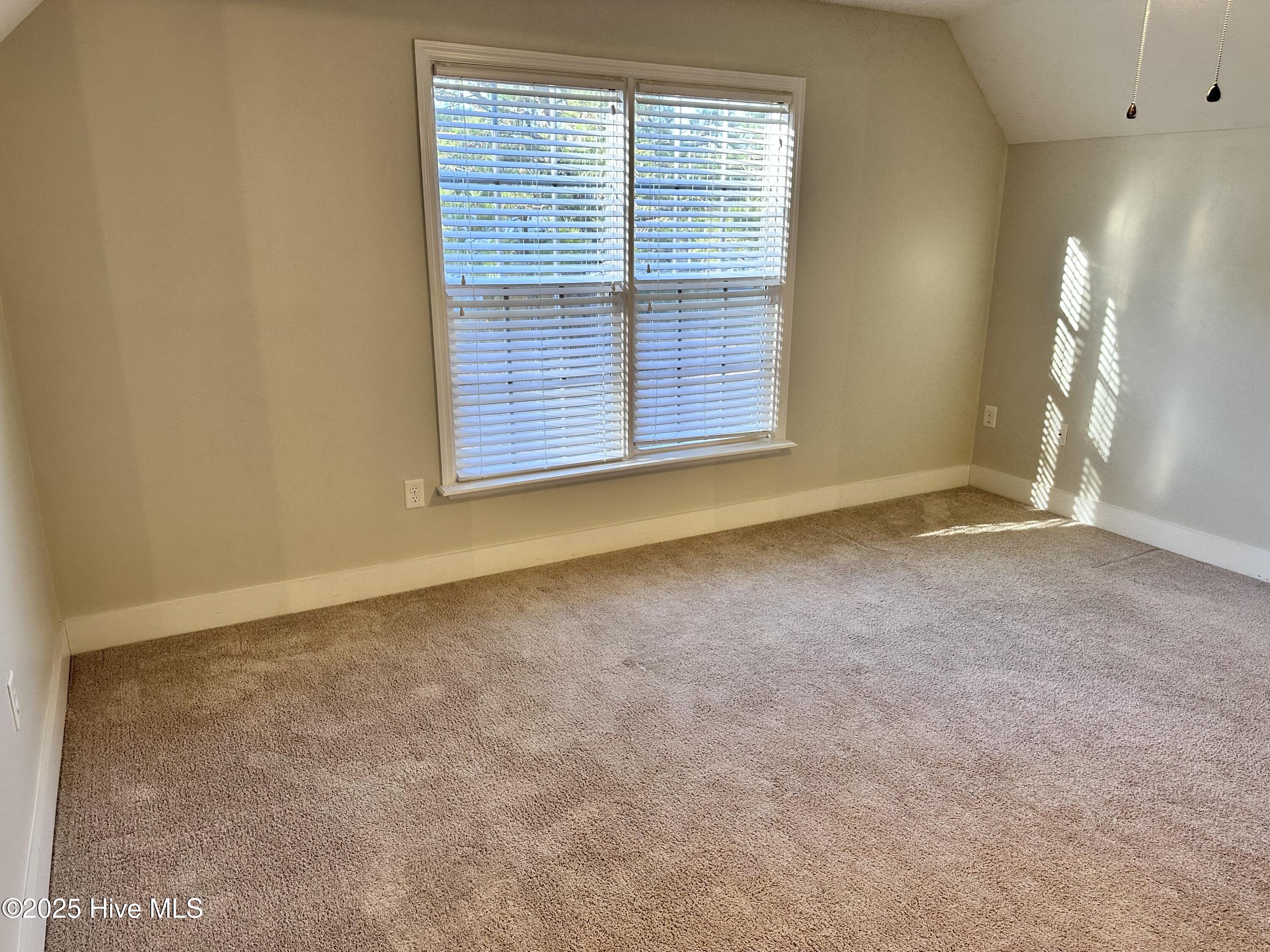 100534711 | Photo 23